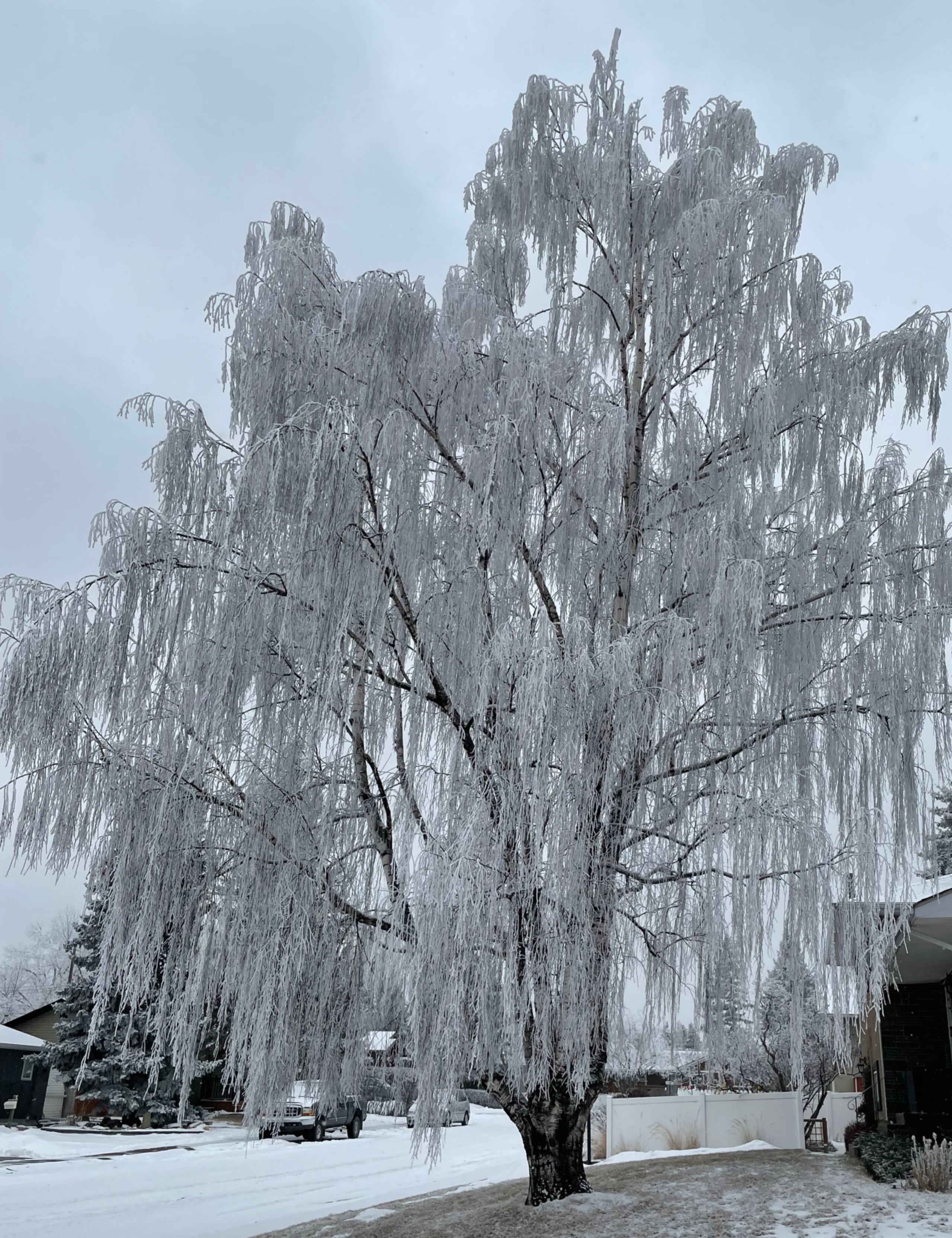 Community photo entitled  by Daryl MacLeod on 03/03/2022 at Calgary,Alberta,Canada