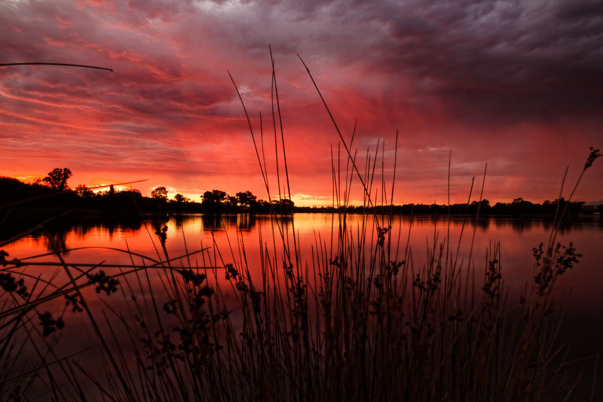 Community photo by Simon Capone | Perth, Western Australia