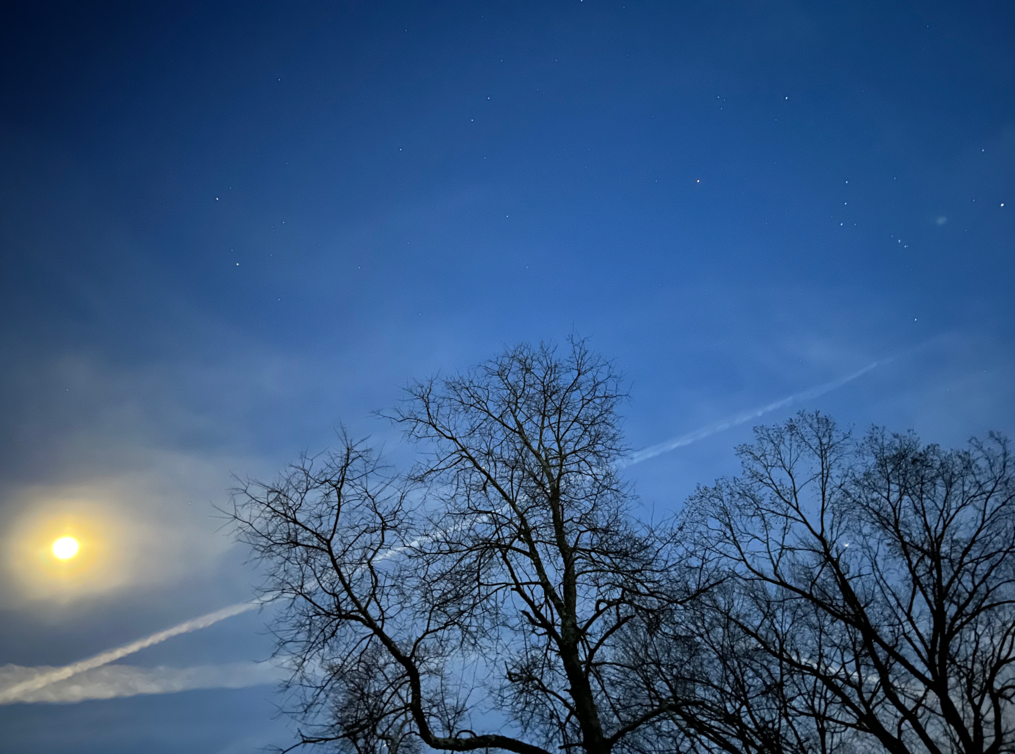 Community photo entitled  by Sudhir Sharma on 03/14/2022 at Stormville, NY