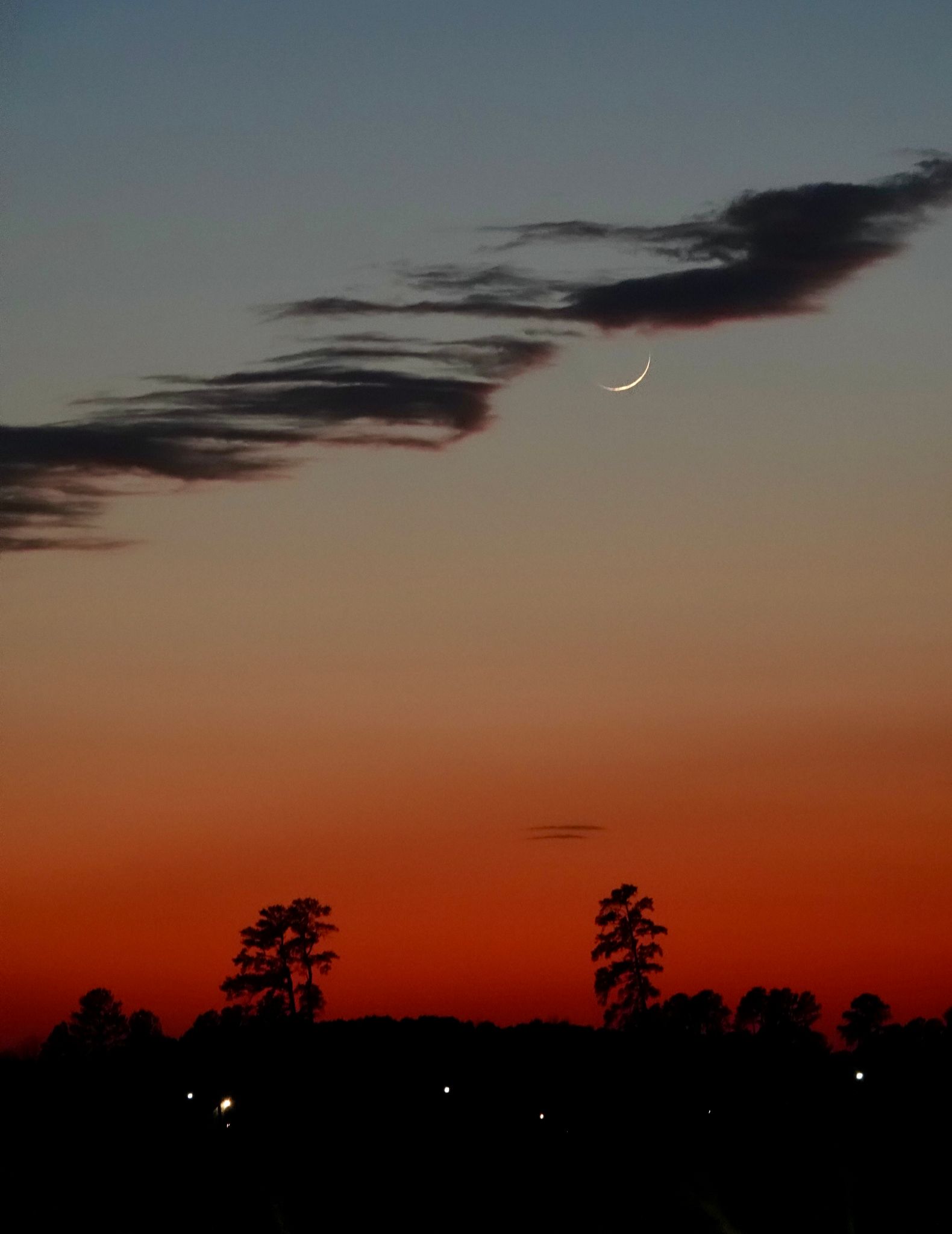 Community photo by Patricia Weeks | Greenville, North Carolina, USA