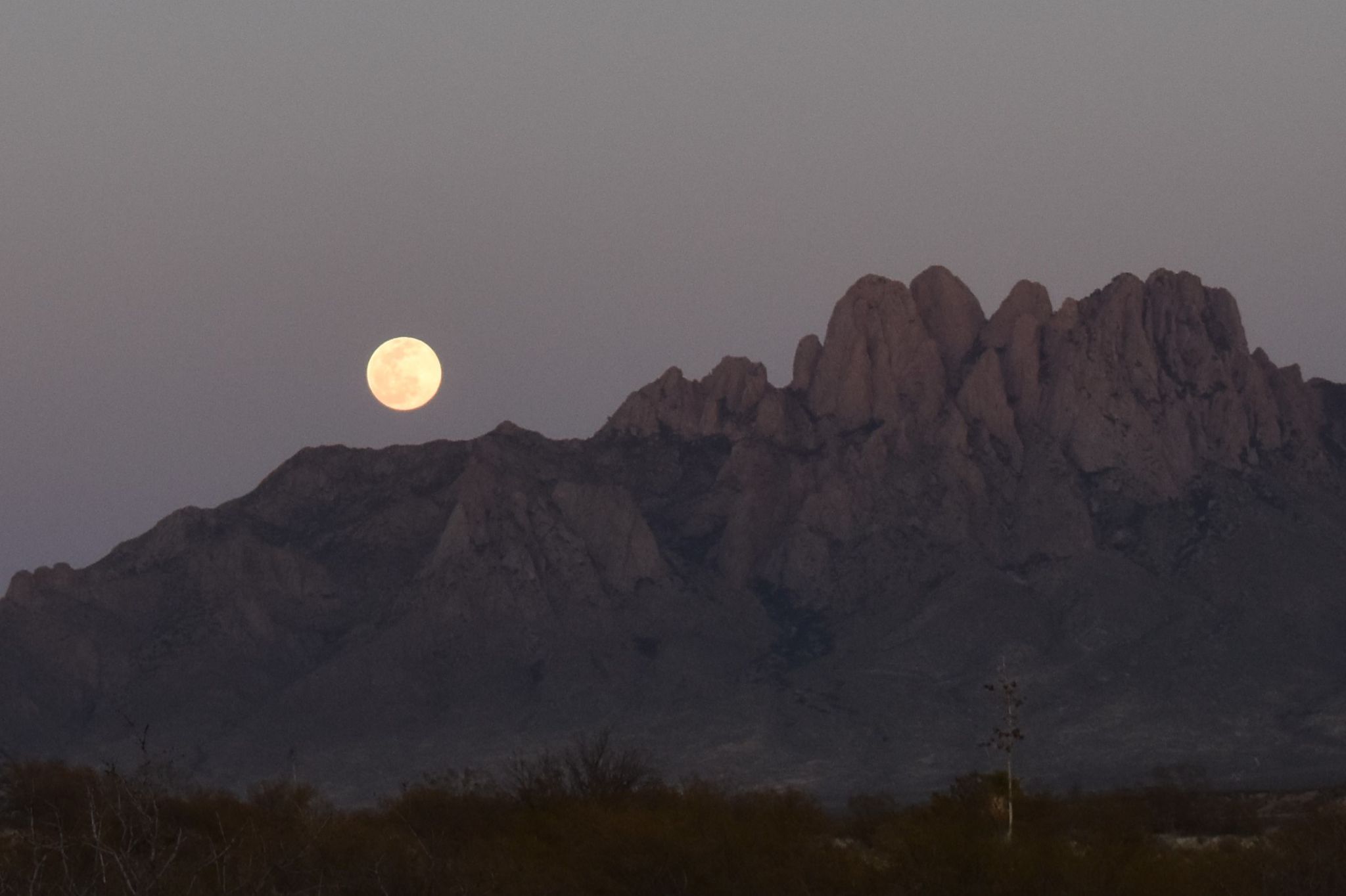 Community photo by James Gaulding | Las Cruces, New Mexico