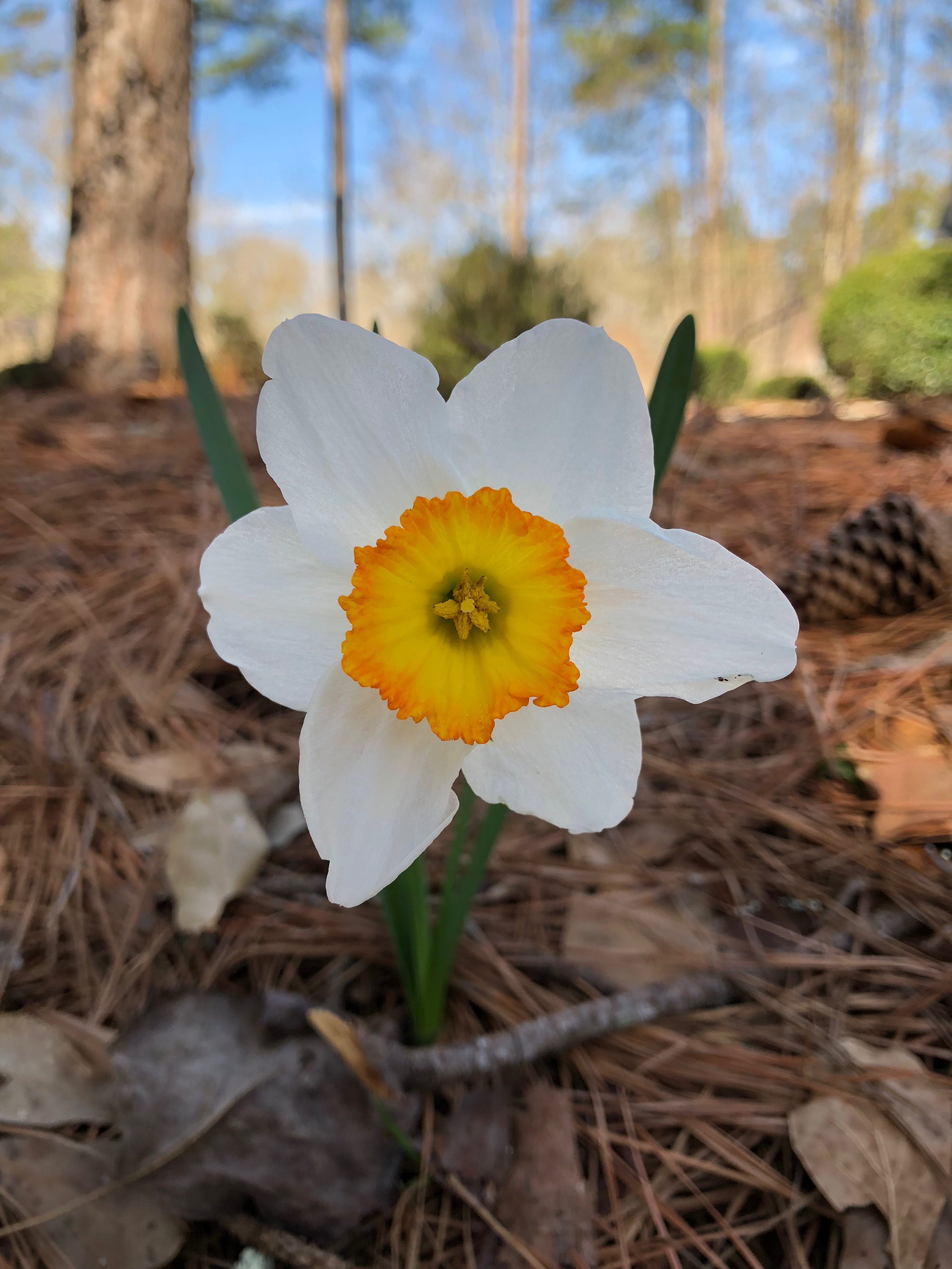 Community photo by Tiffany Kinchen | Aiken, SC, USA