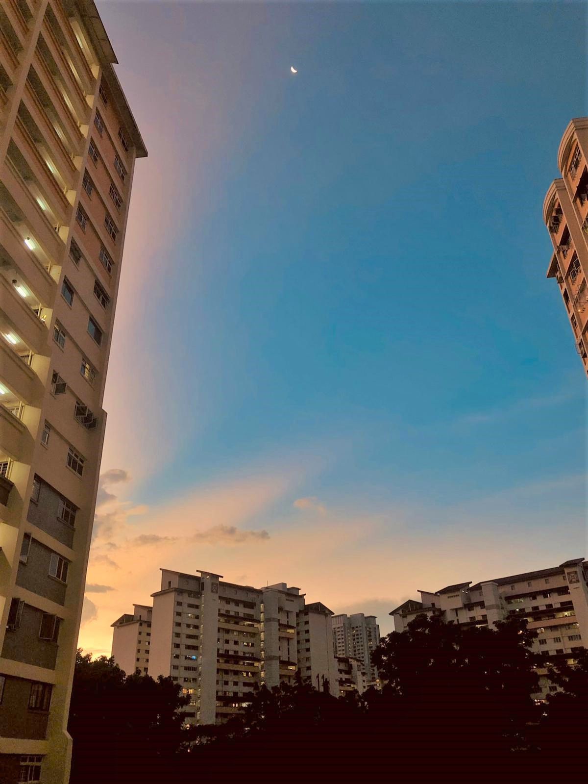 Community photo by Asanka Sandeepa Wijekoon | Holland Village, Singapore