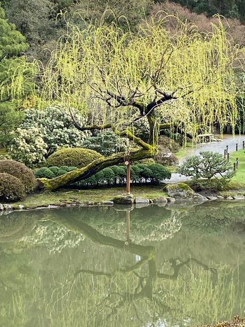 Community photo by Lynn Bahrych | UW Arboretum Japanese Garden, Seattle, Washington USA