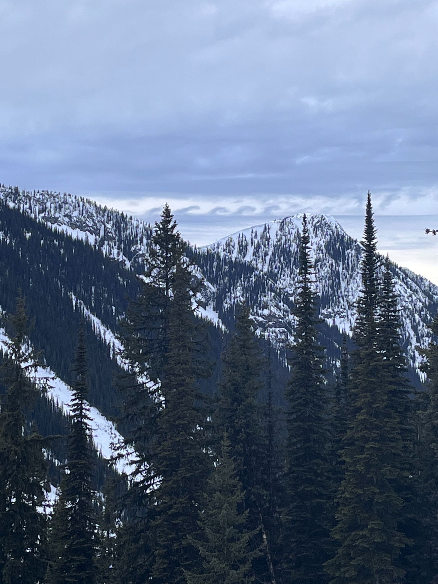 Community photo by Russell Hulbert | Ice Creek Lodge - Valhalla Provincial Park, BC Canada