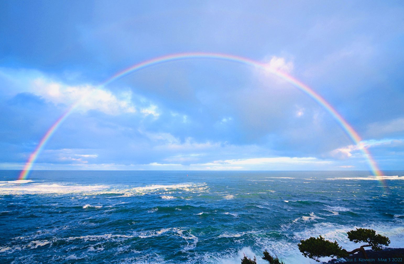 Community photo entitled  by Cecille Kennedy on 03/03/2022 at Oregon Coast Oregon US