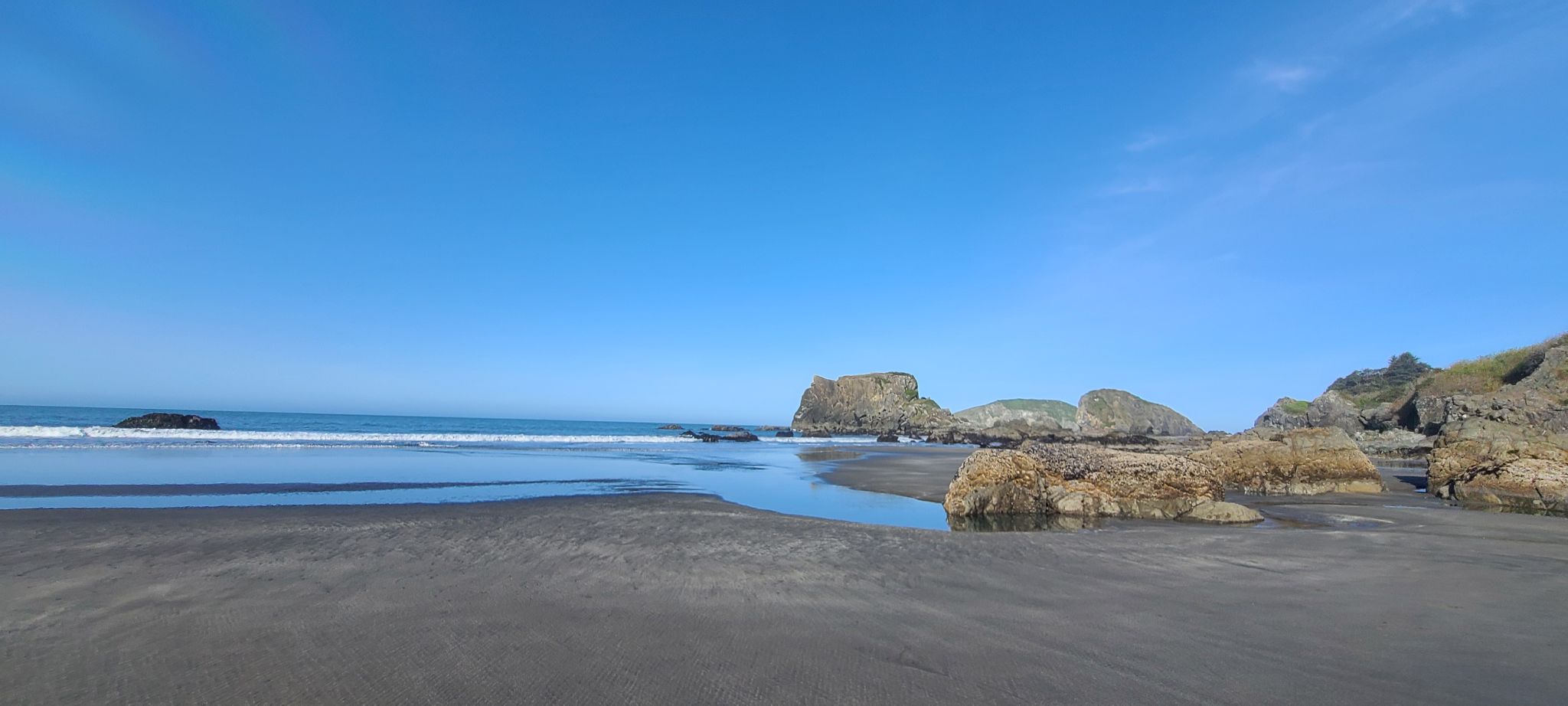 Community photo by Paola Pringle | Southern Orgon Coast