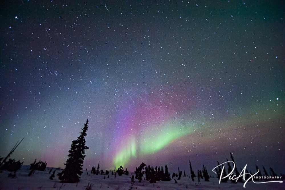 Community photo entitled  by Kathy Ax on 03/31/2022 at Eureka, Alaska