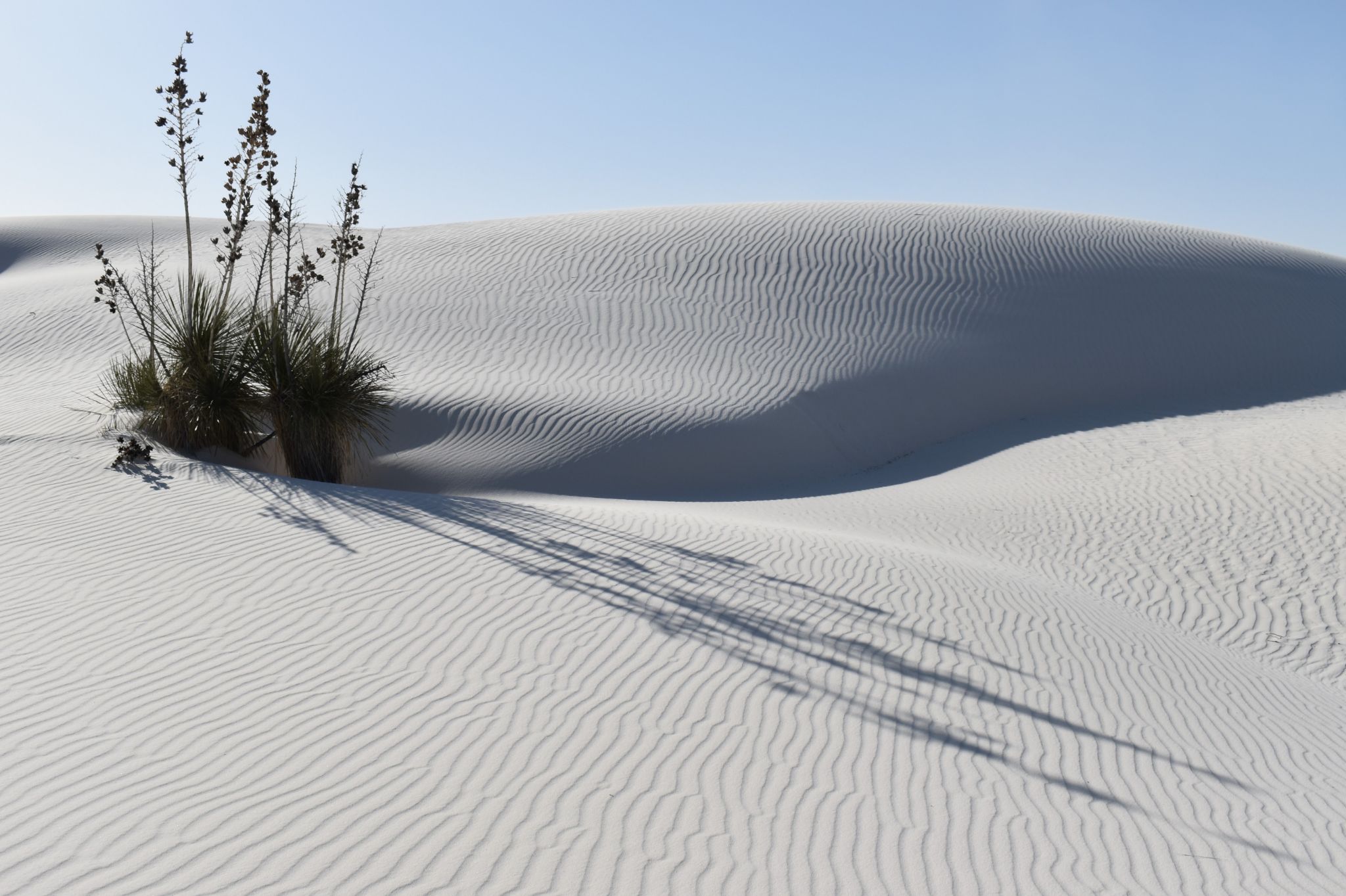 Community photo by James Gaulding | White Sands National Park, New Mexico, U.S.A.