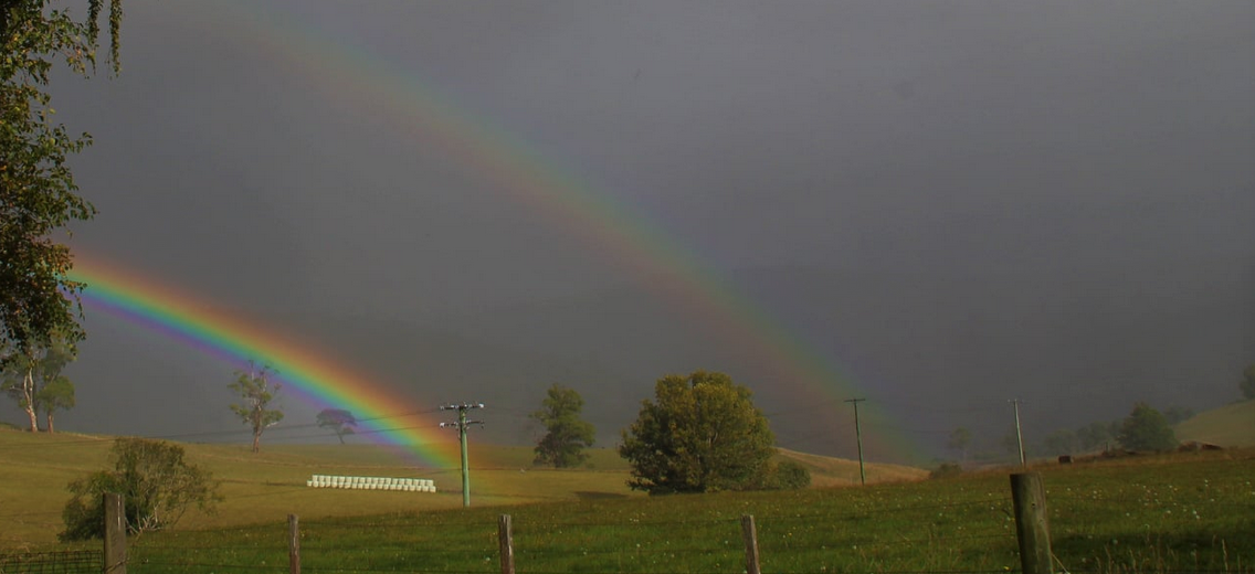 Community photo entitled  by shane cooper on 04/09/2022 at Derby, Tasmania Australia