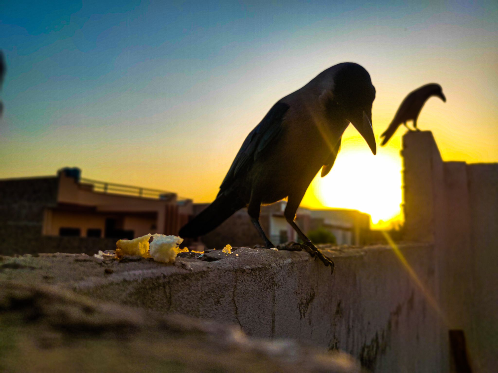 Community photo by Bilal Khan | Rahim Yar Khan Punjab Pakistan