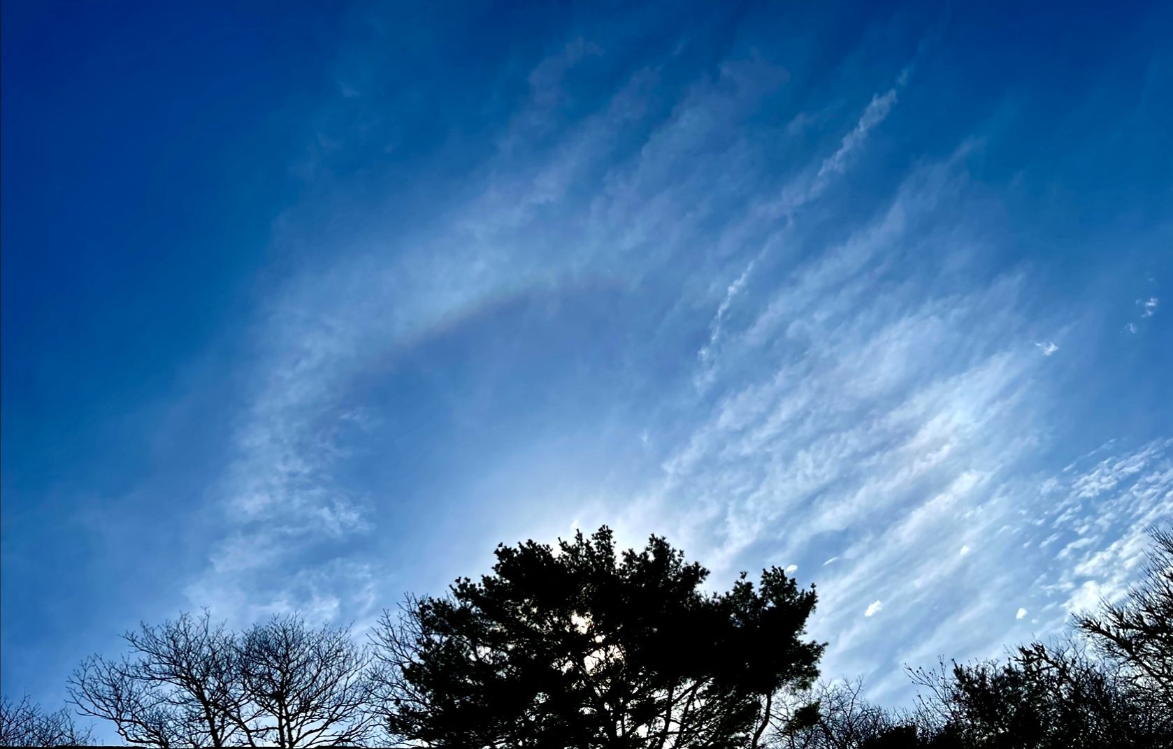 Community photo by Ari Stamatiou | Wareham, MA, USA