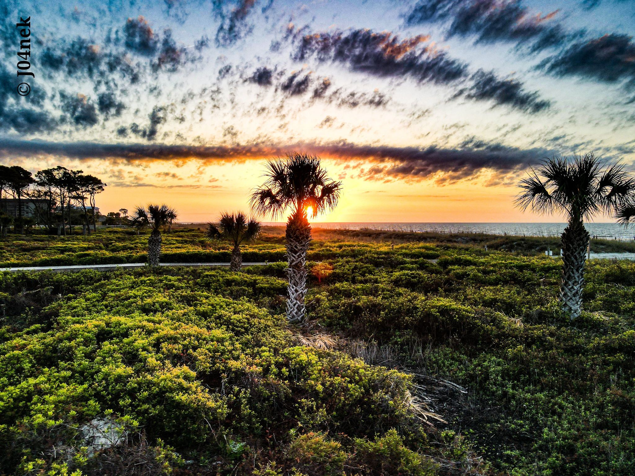 Community photo entitled  by John Kiryanoff on 04/04/2022 at Hilton head south Carolina