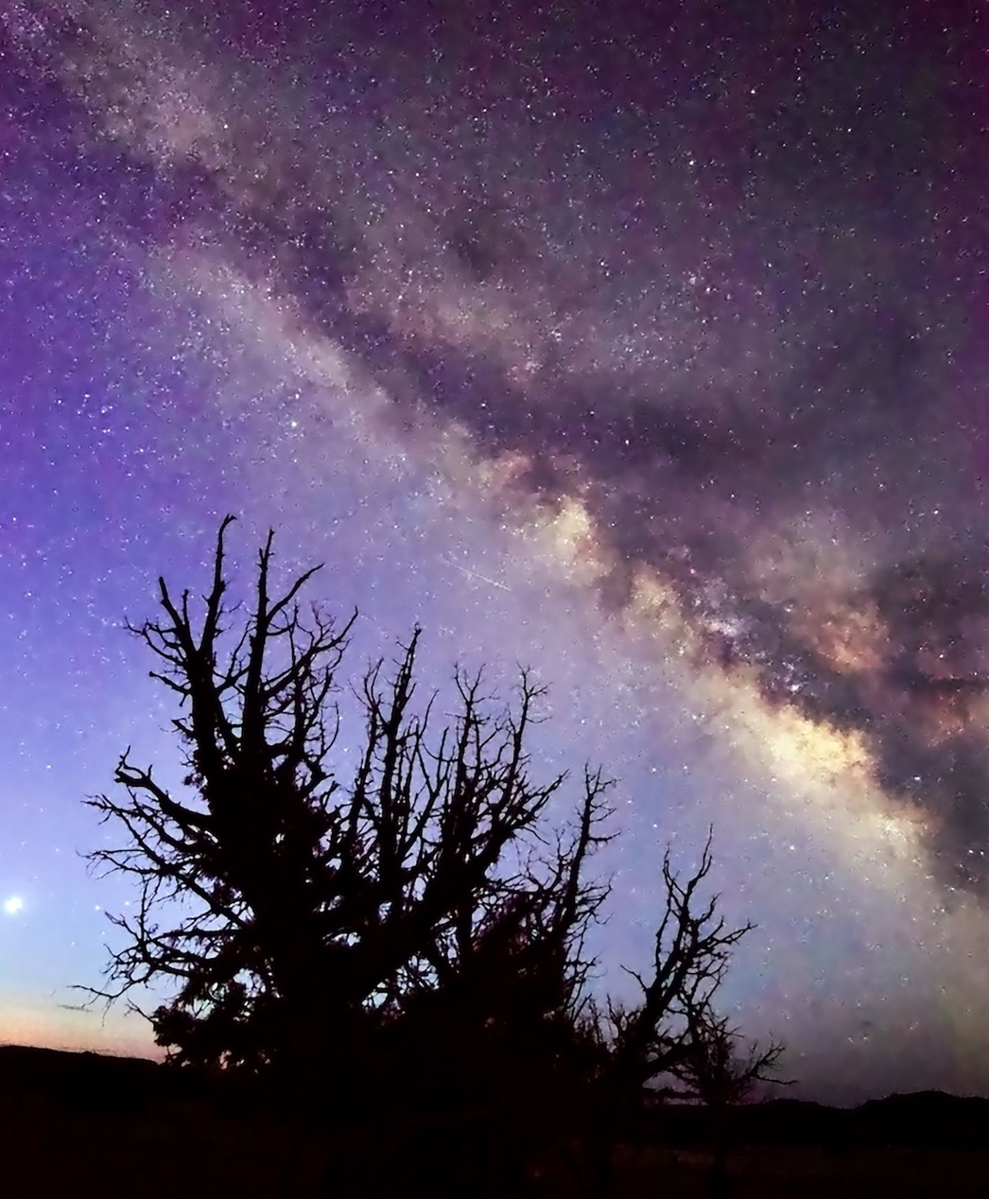 Community photo entitled  by Steve Price on 04/02/2022 at The Last Chance Desert, Utah, USA