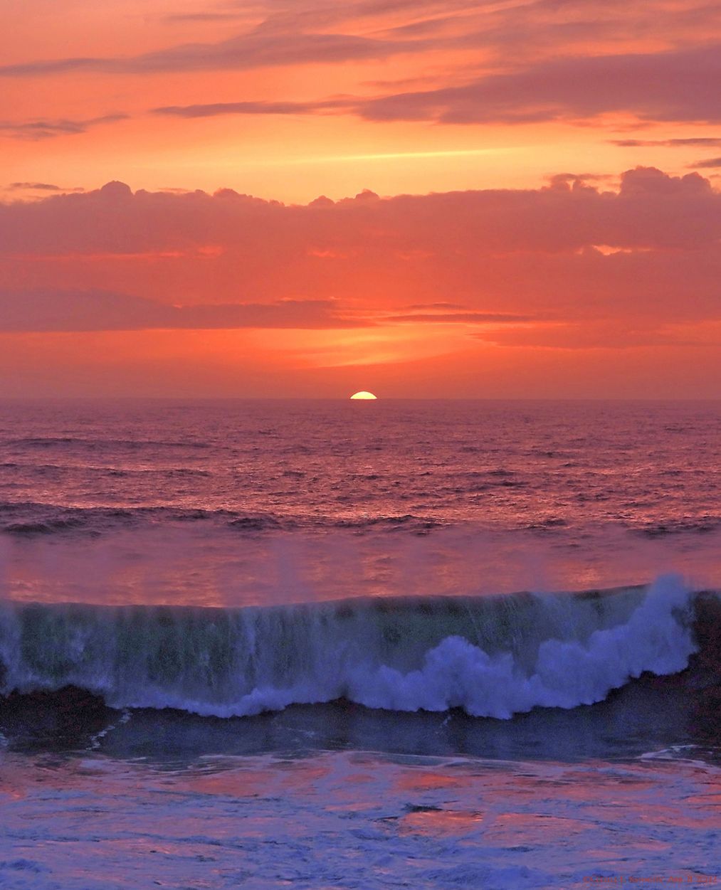 Community photo entitled  by Cecille Kennedy on 04/21/2022 at Depoe Bay, Oregon US