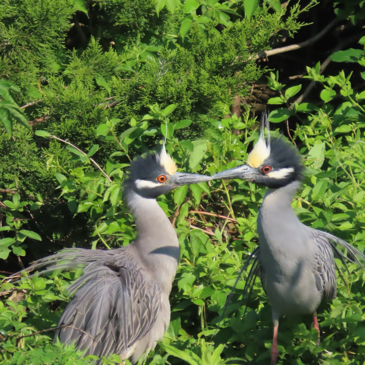 Community photo by Lisa Ann