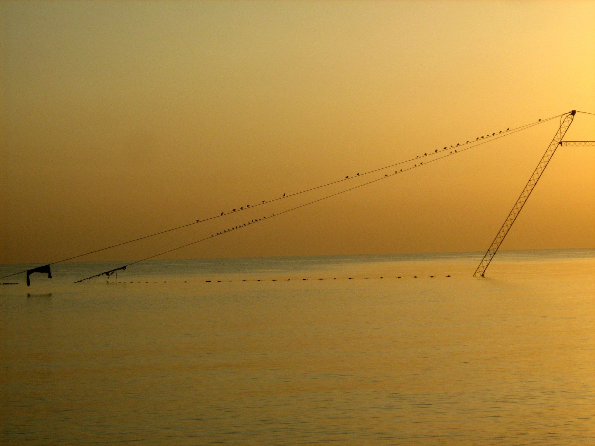 Community photo entitled  by Hassan Dadashi . arani on 05/06/2022 at Kish . Iran