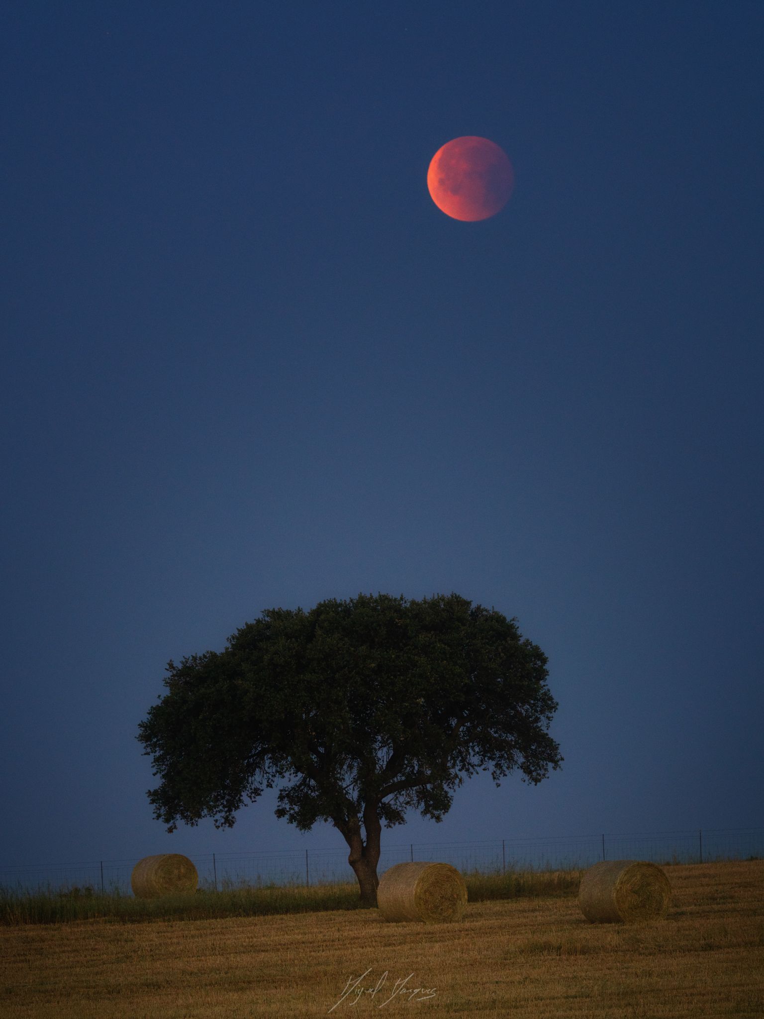 Community photo entitled  by Miguel Marques on 05/16/2022 at Mértola, Portugal