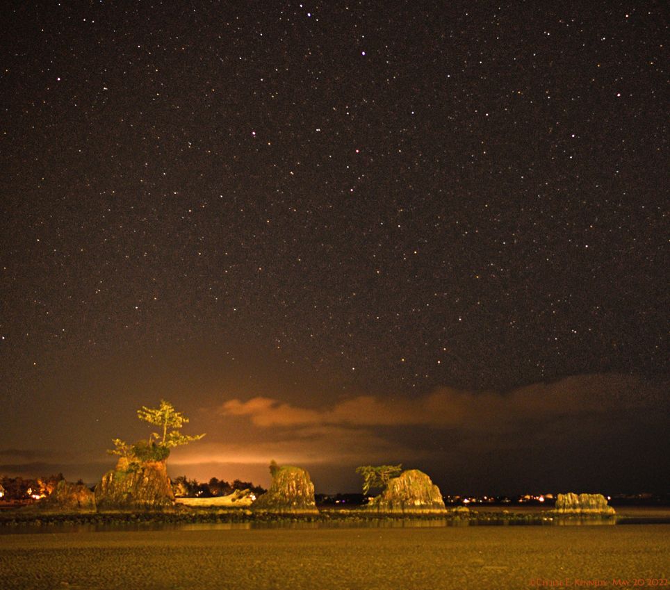 Community photo entitled  by Cecille Kennedy on 05/20/2022 at Siletz Bay, Oregon US