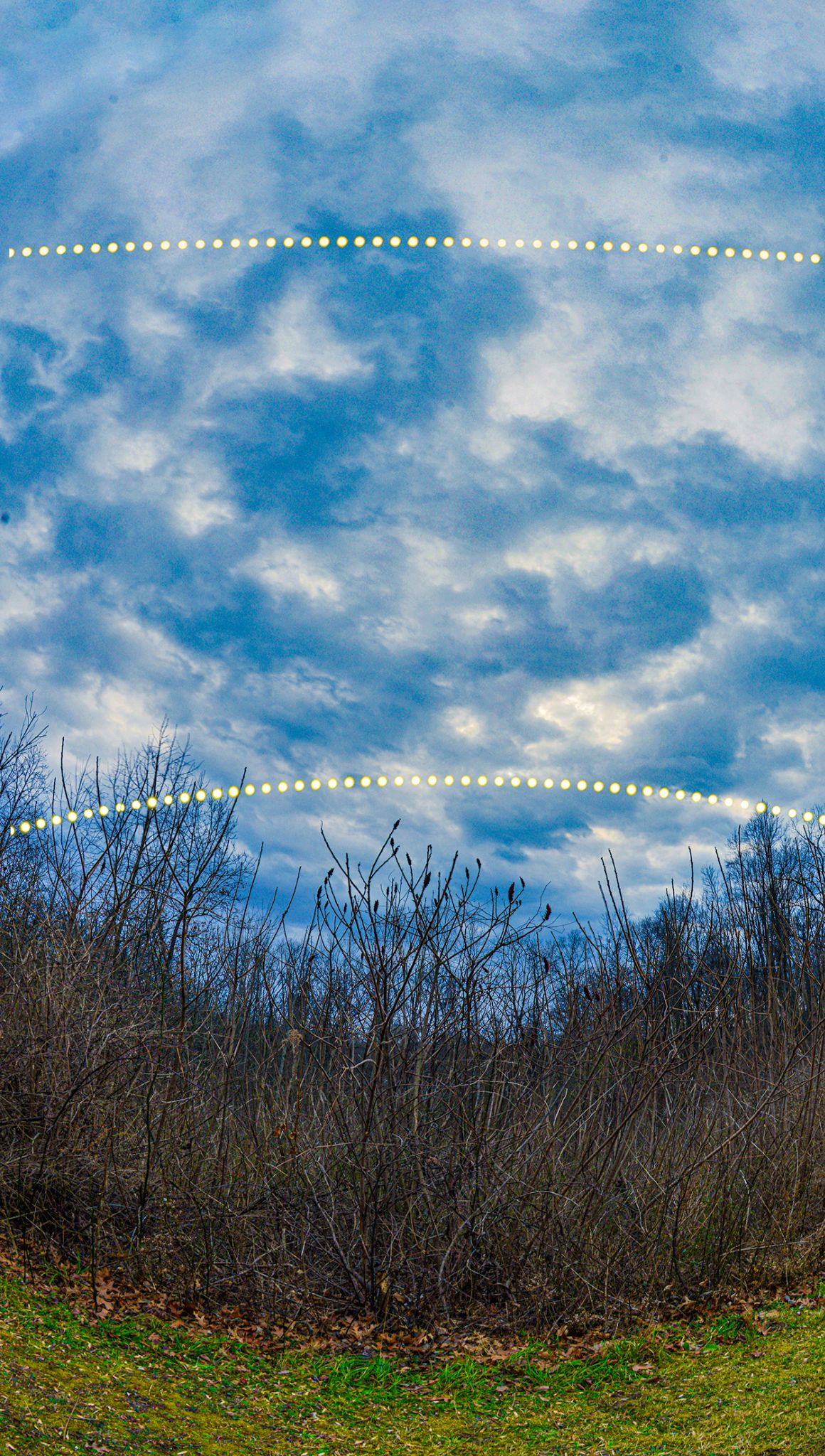 Community photo by Art Robertson | Berrien Springs, MI, USA