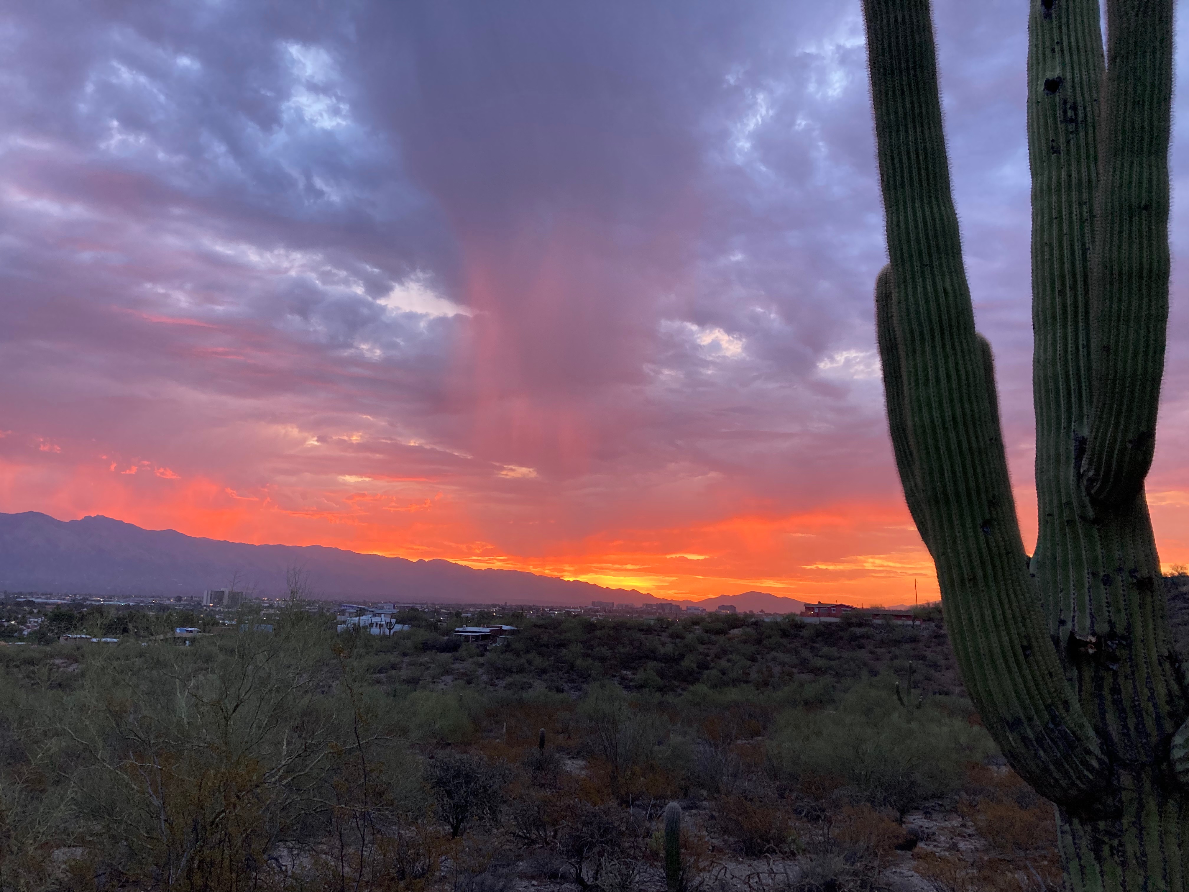 Community photo by Ron Kovatch | Tucson, AZ