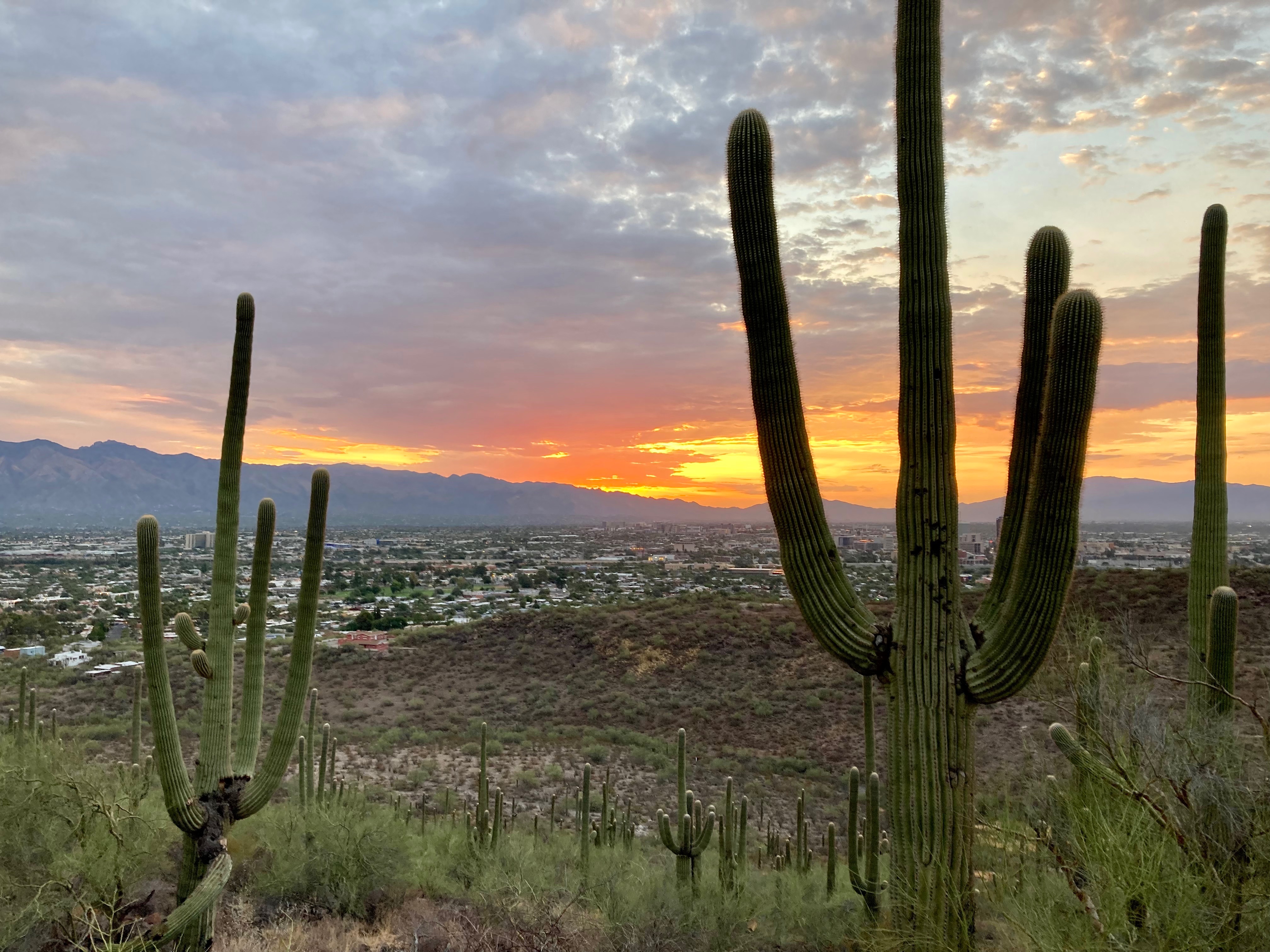 Community photo by Ron Kovatch | Tucson, AZ