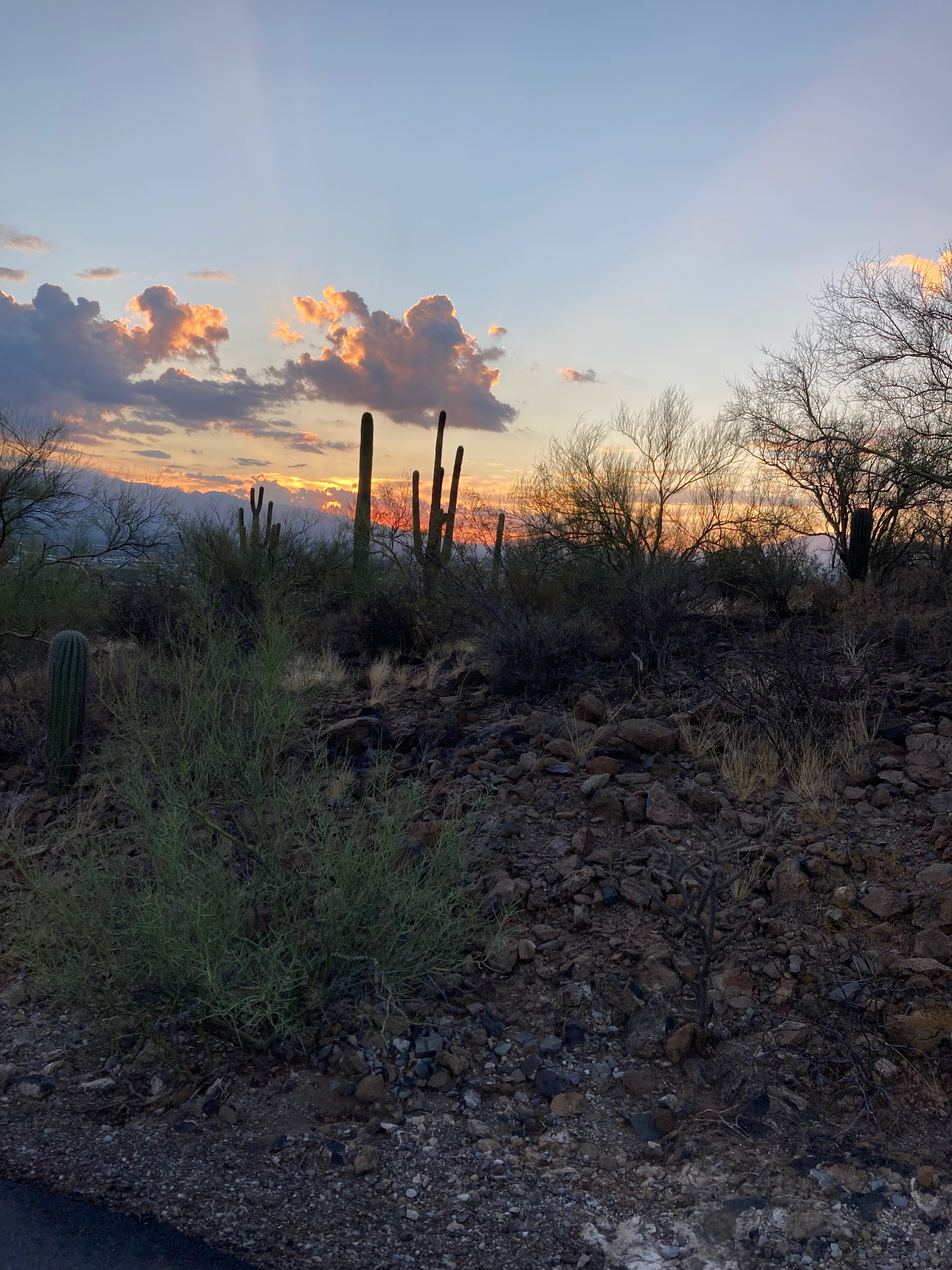 Community photo by Ron Kovatch | Tucson AZ
