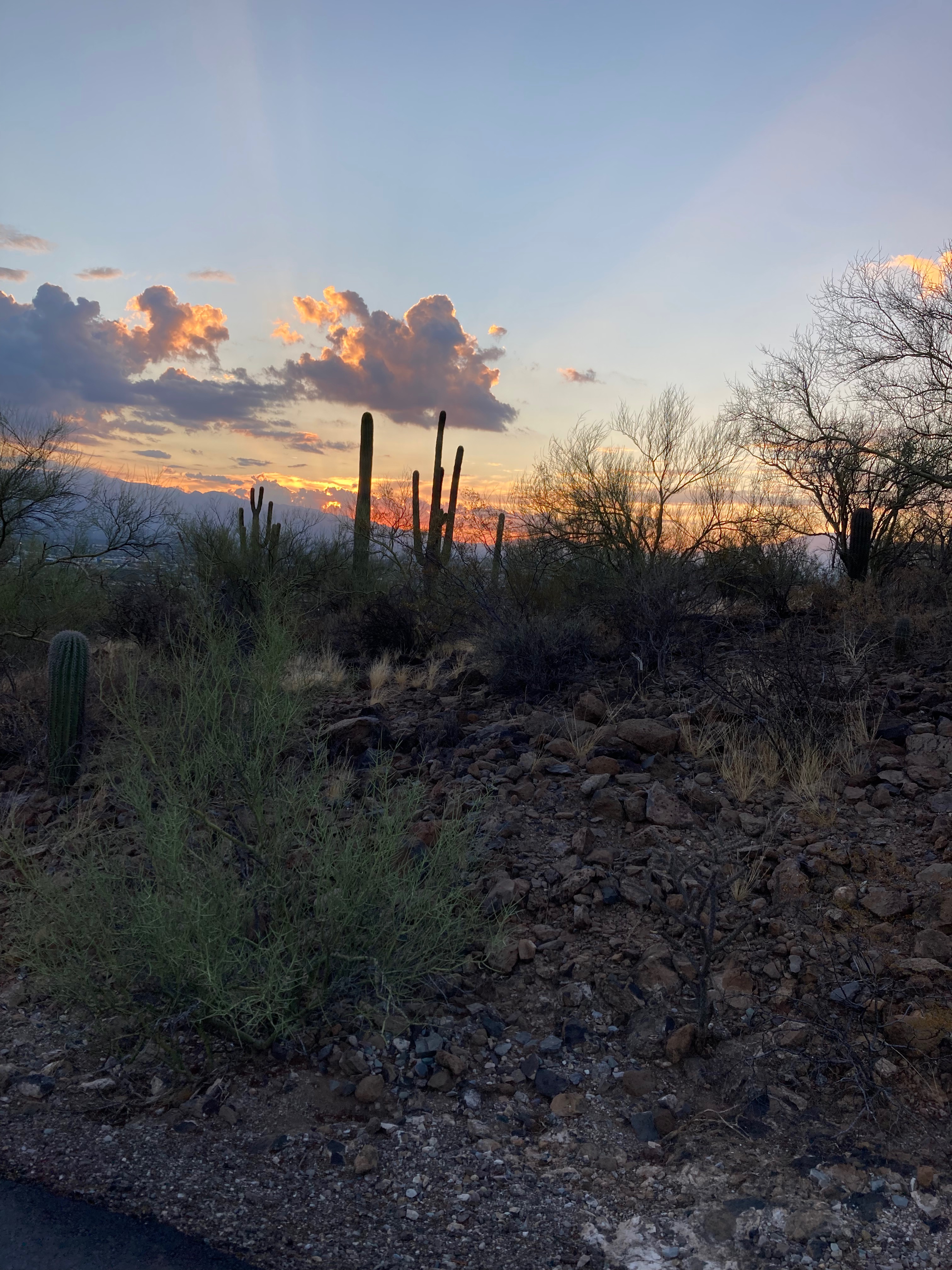 Community photo entitled  by Ron Kovatch on 07/05/2022 at Tucson AZ