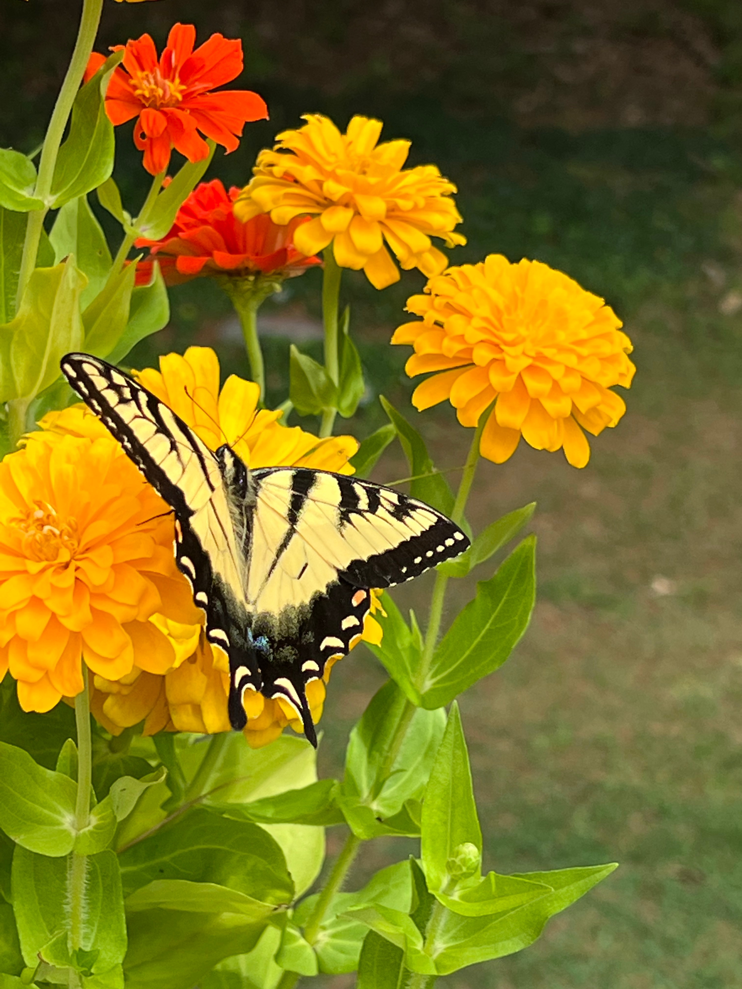 Community photo entitled  by Ann Hummel on 07/30/2022 at Nassau, NY