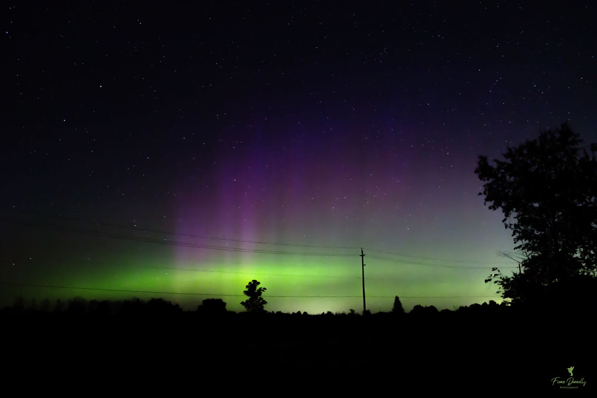 Community photo entitled  by Fiona Donnelly on 07/23/2022 at Smiths Falls, Ontario, Canada