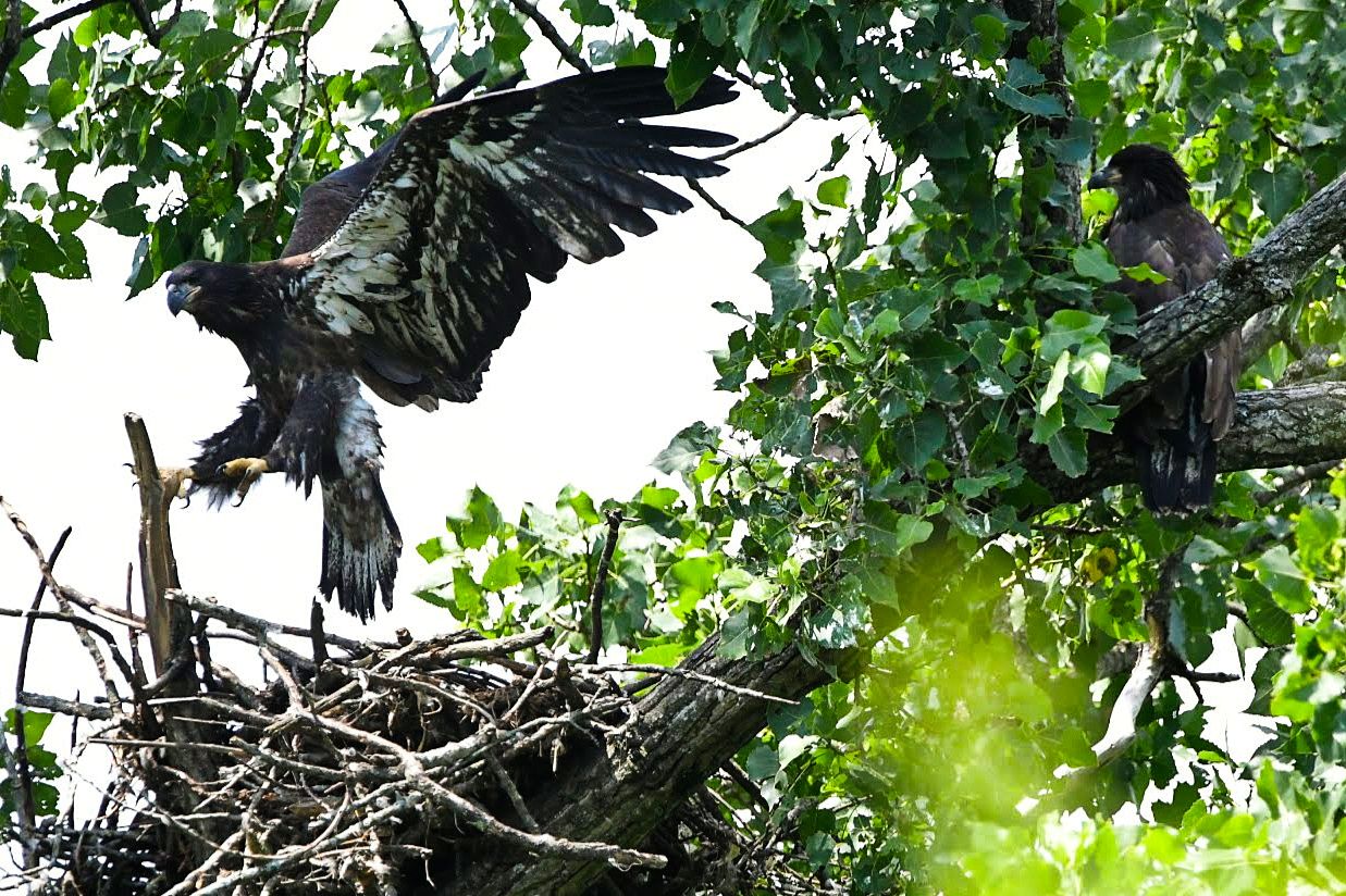 Community photo by Lorraine Boyd | Schodack Landing, NY