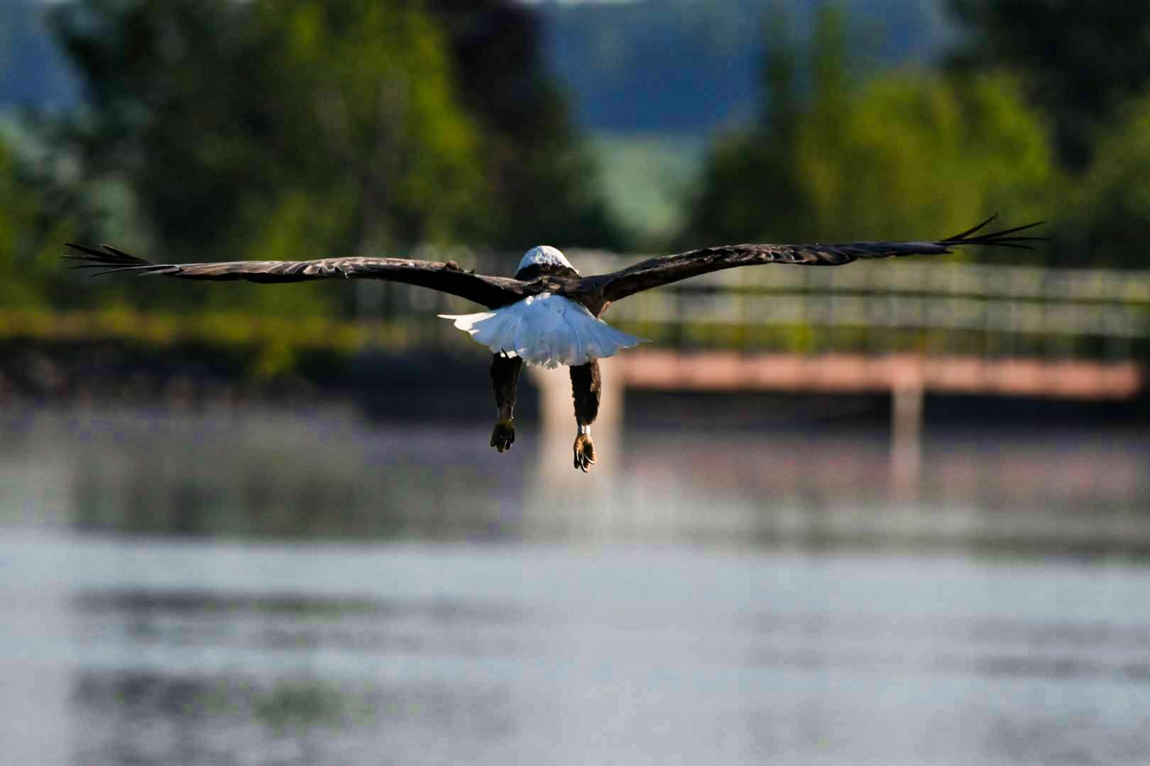 Community photo by Lorraine Boyd | Cobleskill, NY