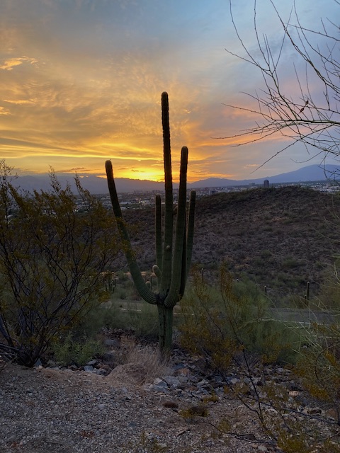 Community photo entitled  by Gin Kovatch on 07/22/2022 at Tucson, AZ