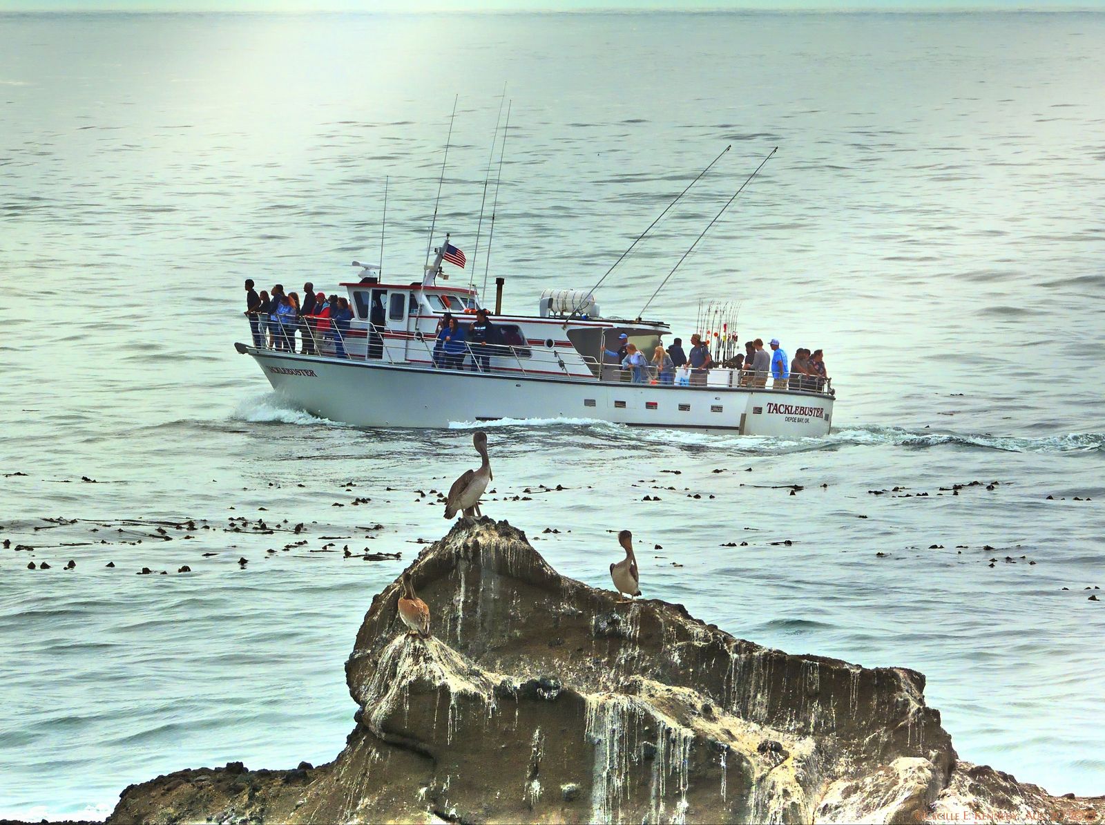 Community photo entitled  by Cecille Kennedy on 08/20/2022 at Depoe Bay-Oregon Coast, US