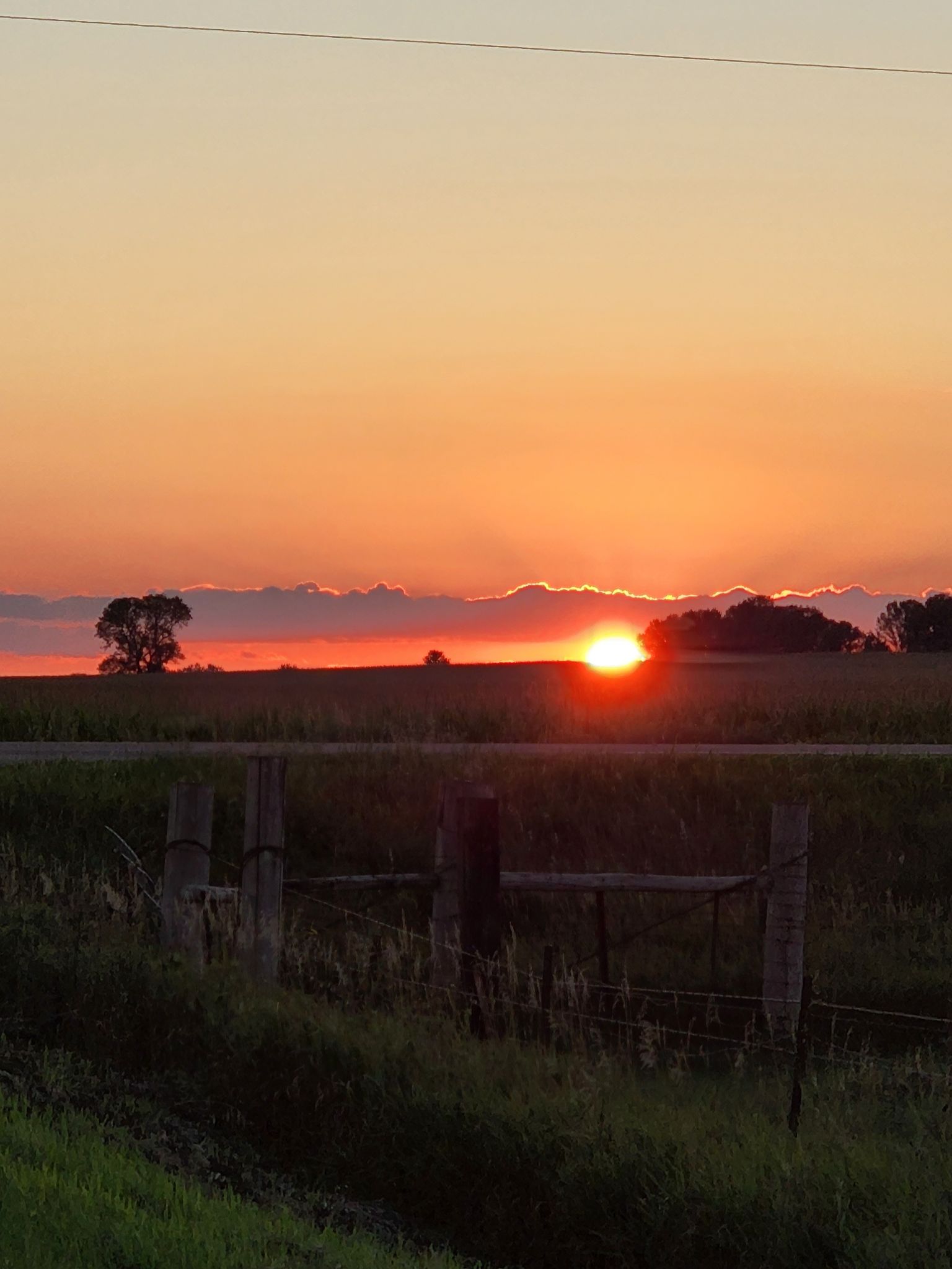 Community photo entitled  by Sarah Buboltz on 08/20/2022 at Franklin, MN USA