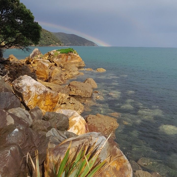 Community photo by Peter Hoey | Great Barrier Island, New Zealand