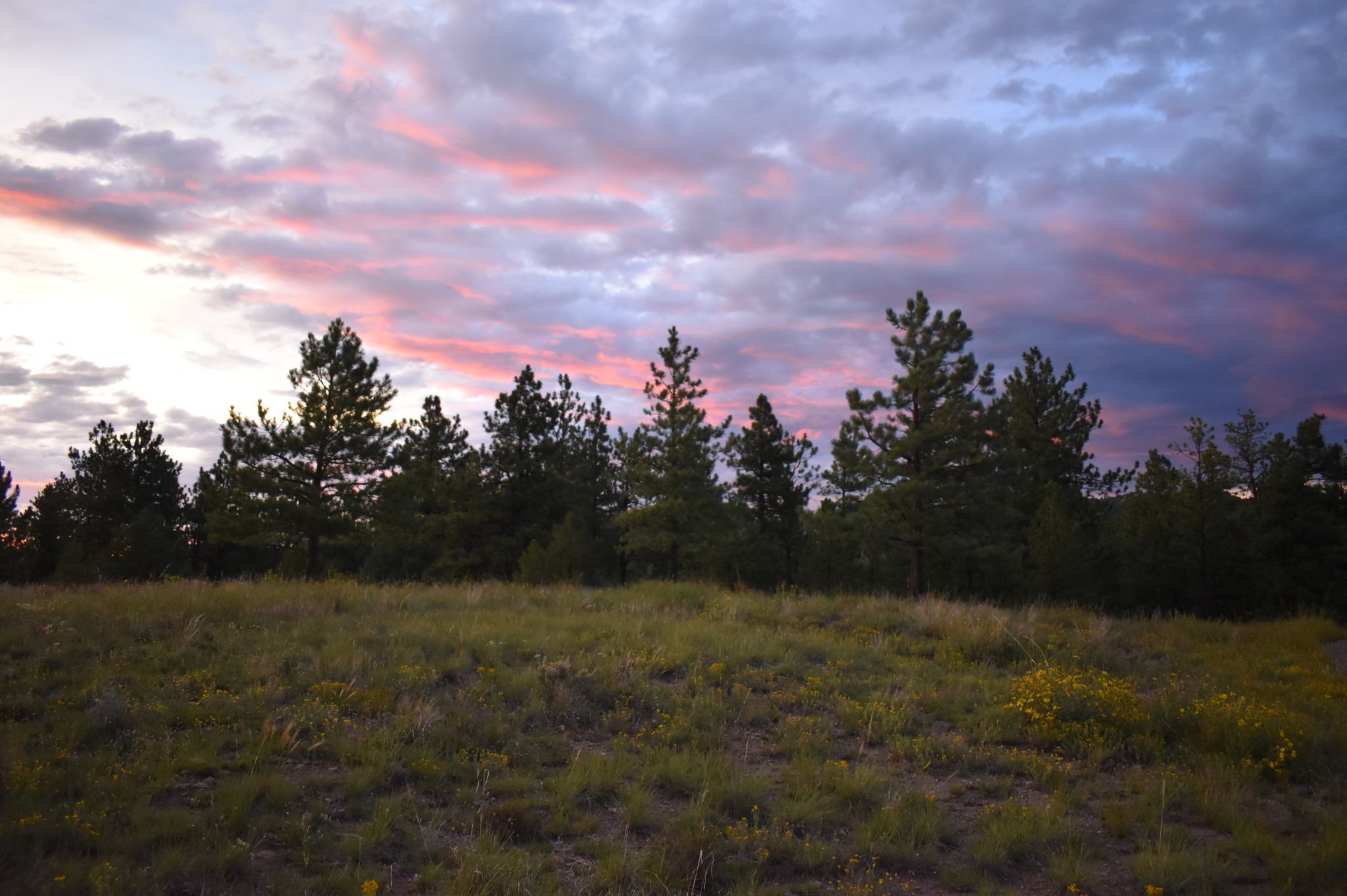 Community photo entitled  by James Gaulding on 08/06/2022 at Hillside, Colorado, U.S.A.