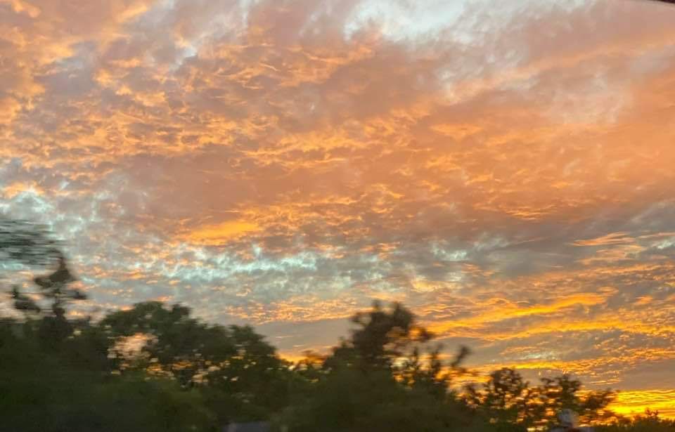 Community photo entitled  by Shannah Cullen on 08/14/2022 at Cape Cod MA