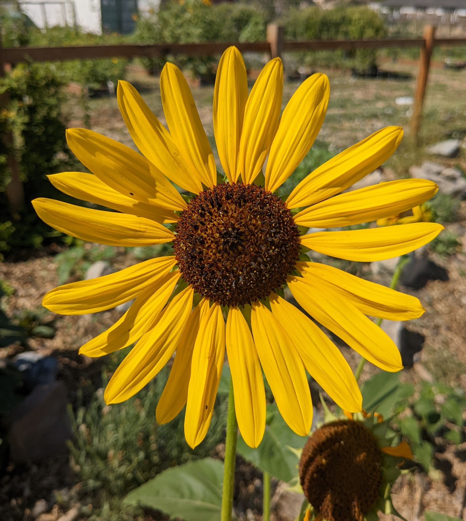 Community photo entitled  by Steve Price on 07/29/2022 at West Valley City, UT USA