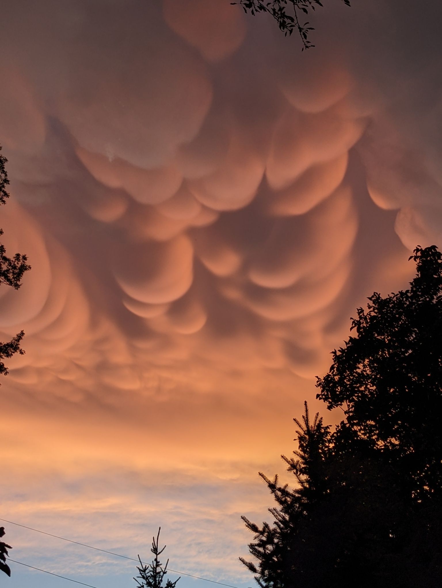 Community photo entitled  by Joe Bartes on 08/19/2022 at Blair Nebraska