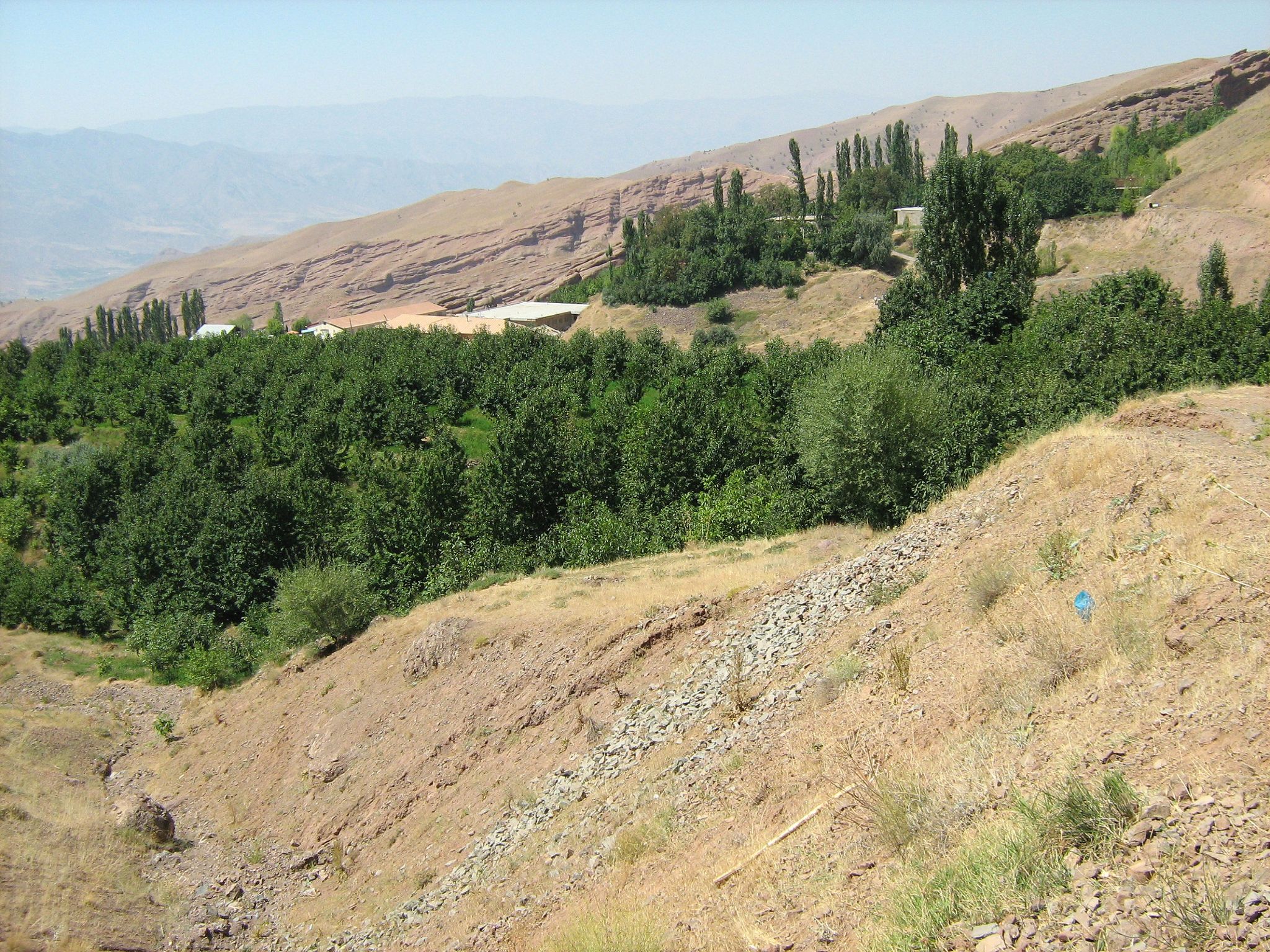 Community photo entitled  by Hassan Dadashi . arani on 08/02/2022 at Qazvin . Iran