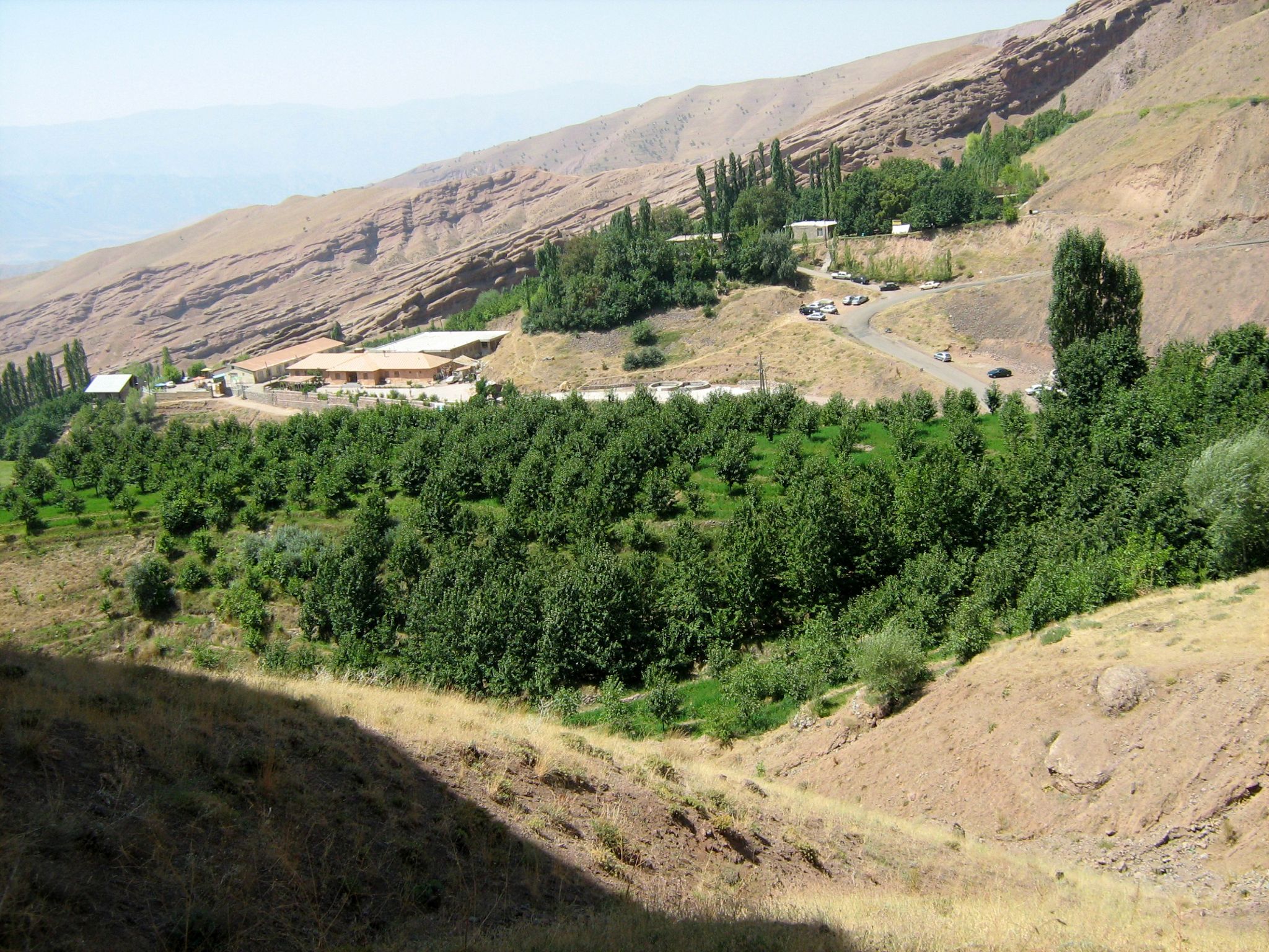 Community photo entitled  by Hassan Dadashi . arani on 08/07/2022 at Qazvin . Iran