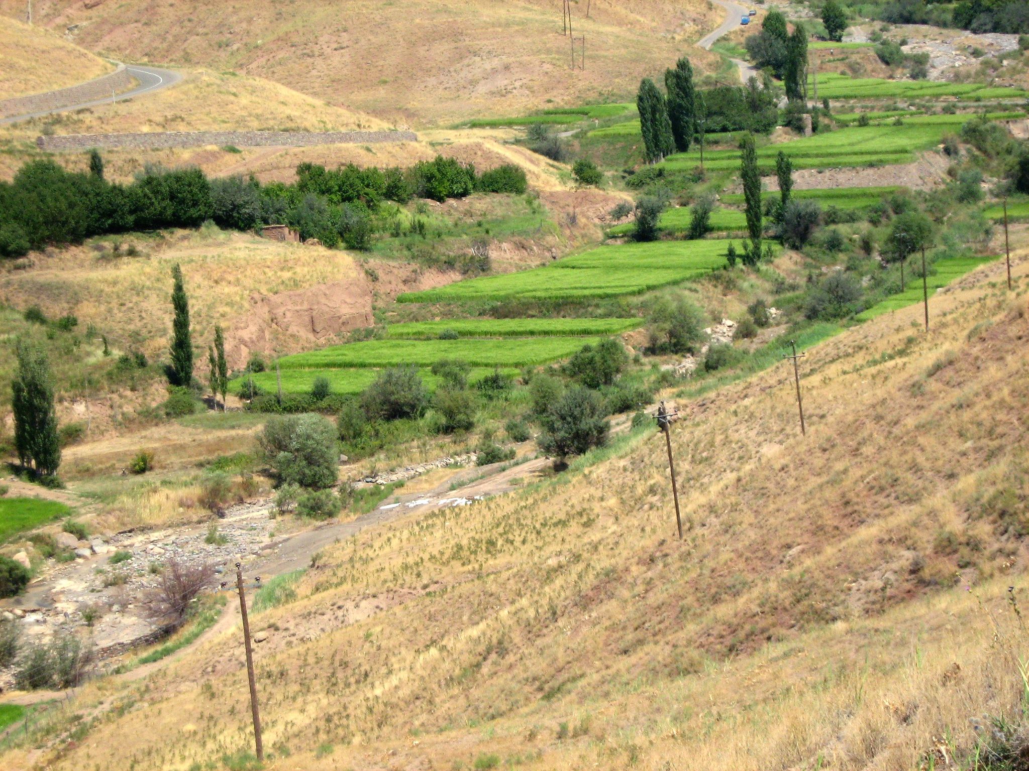 Community photo entitled  by Hassan Dadashi . arani on 08/06/2022 at Qazvin . Iran