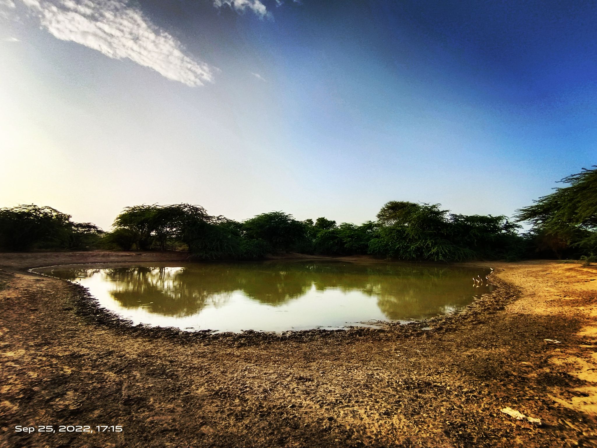 Community photo entitled  by Vishal Baladia on 09/25/2022 at hanumangarh,Rajasthan,india