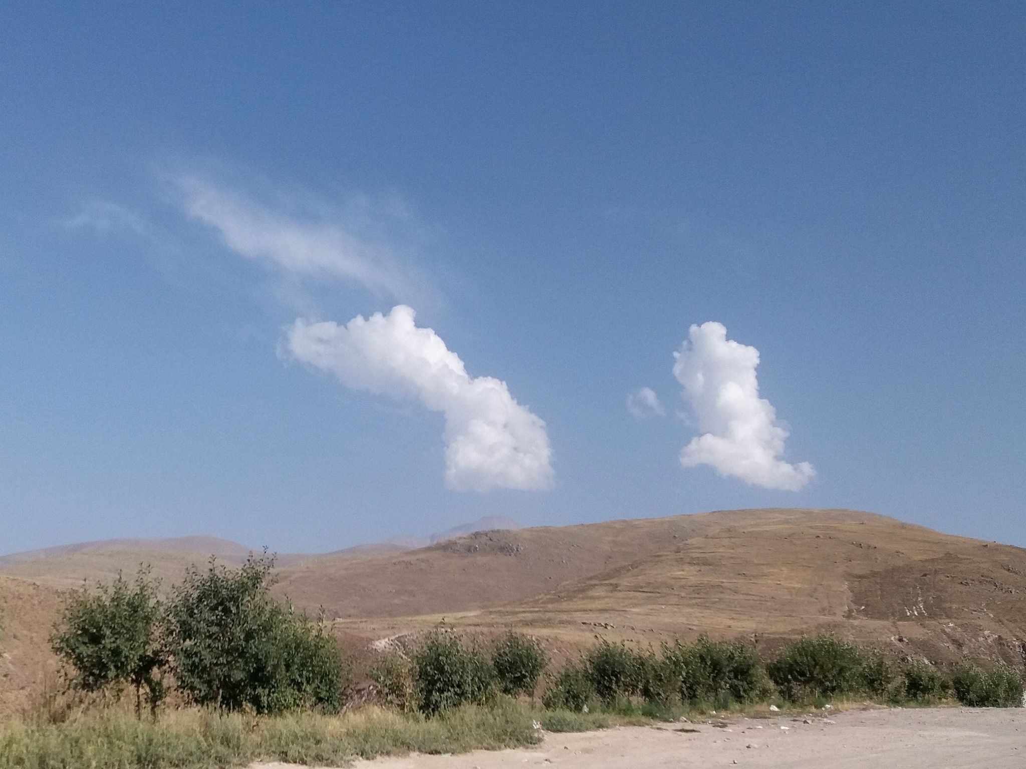 Community photo by Hassan Dadashi . arani | Meshginshahr