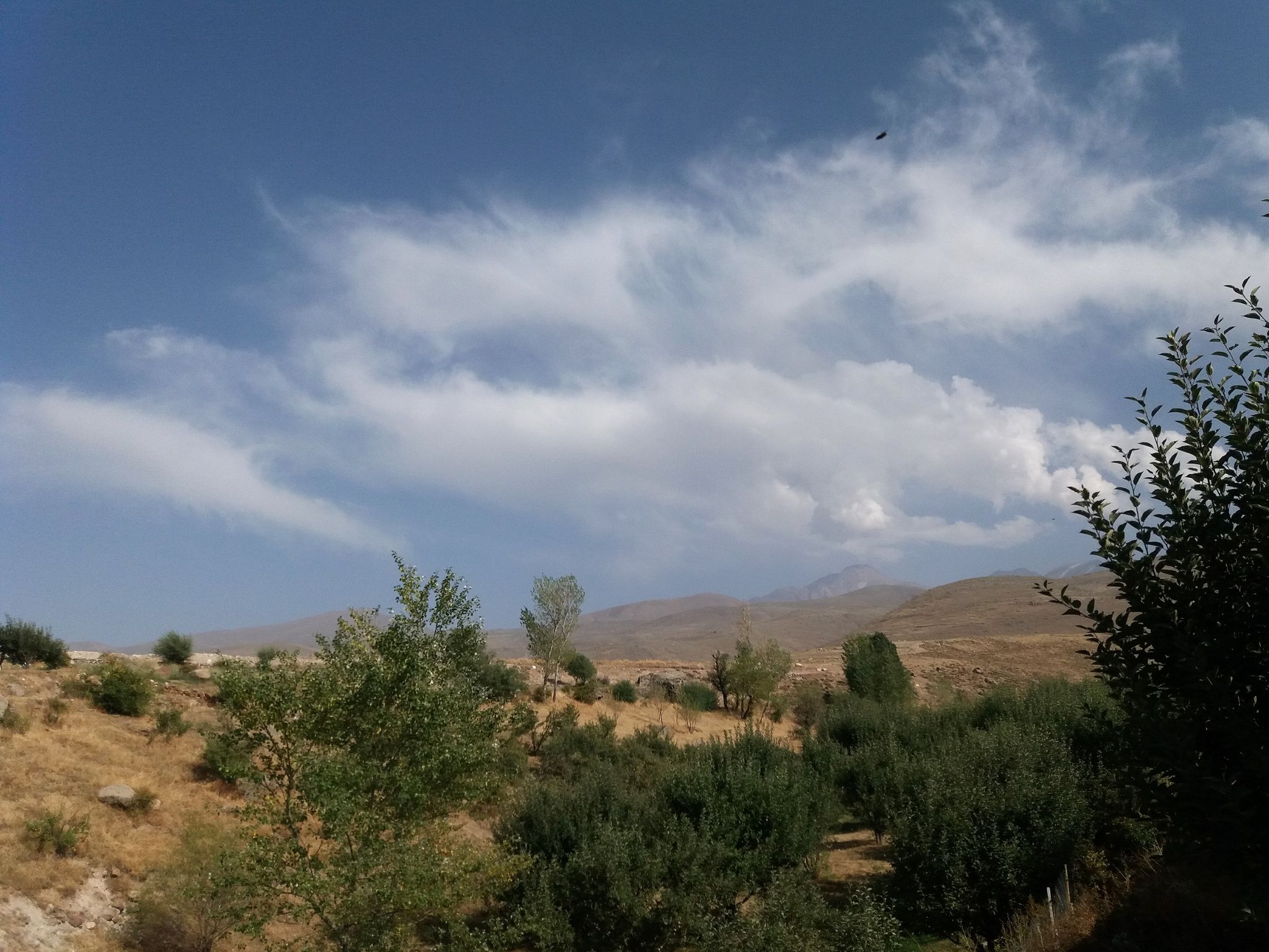 Community photo entitled  by Hassan Dadashi . arani on 10/07/2022 at Meshginshahr . Iran