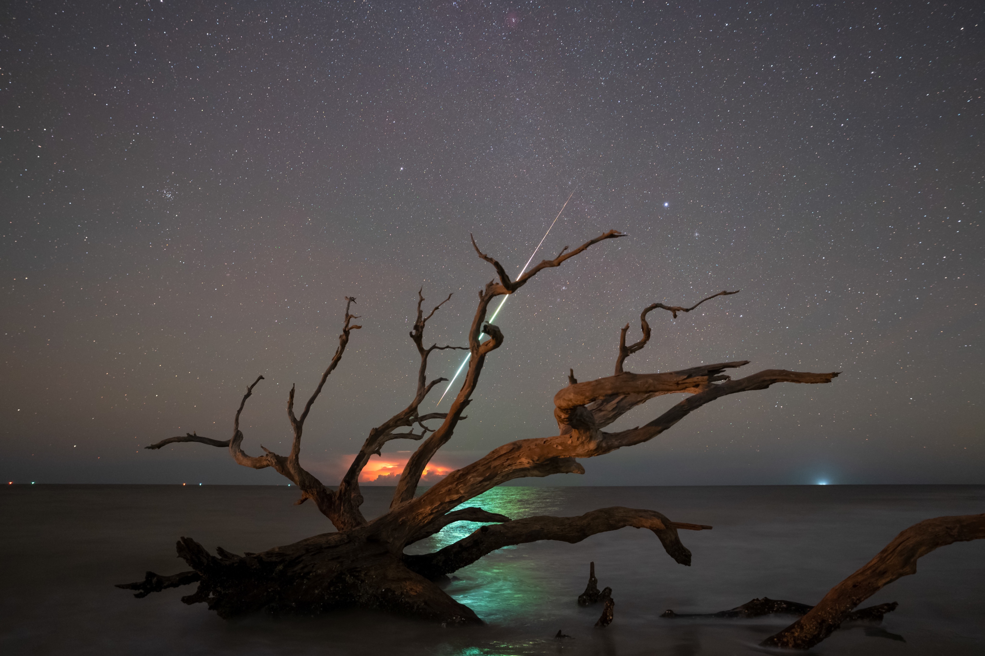 Community photo entitled  by Samil Cabrera on 10/21/2022 at Driftwood Beach at Jekyll Island, GA