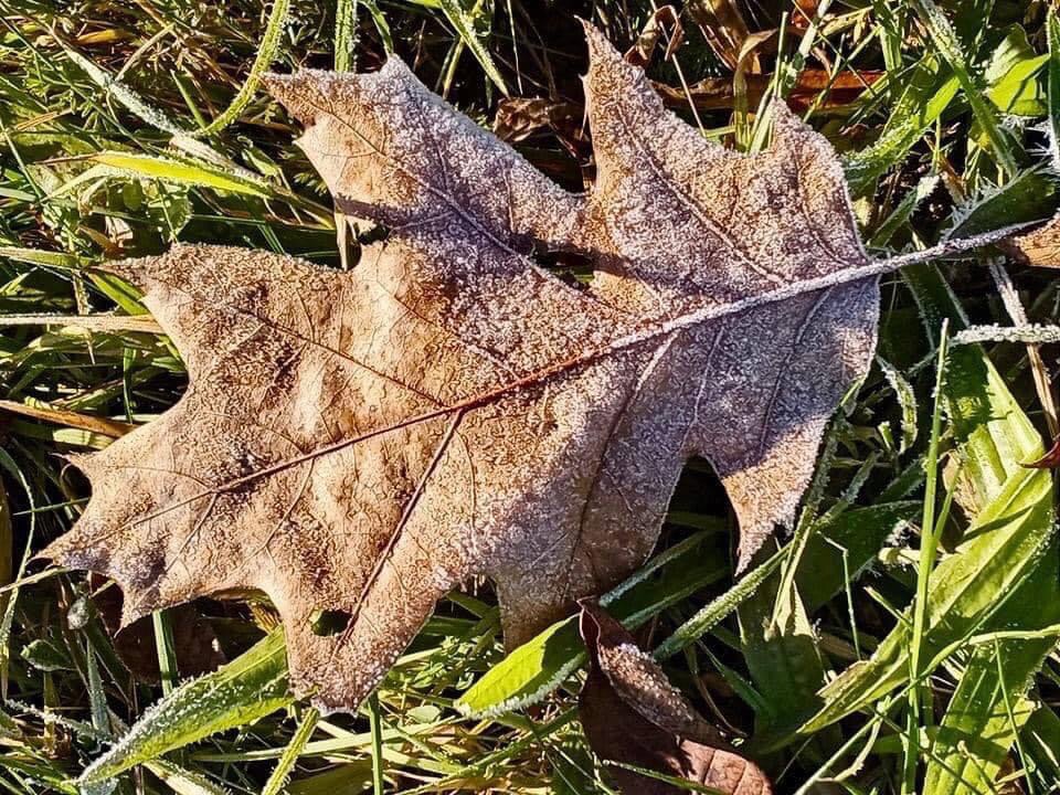 Community photo entitled  by Beth Kenneweg on 11/28/2022 at Ballston Lake New York