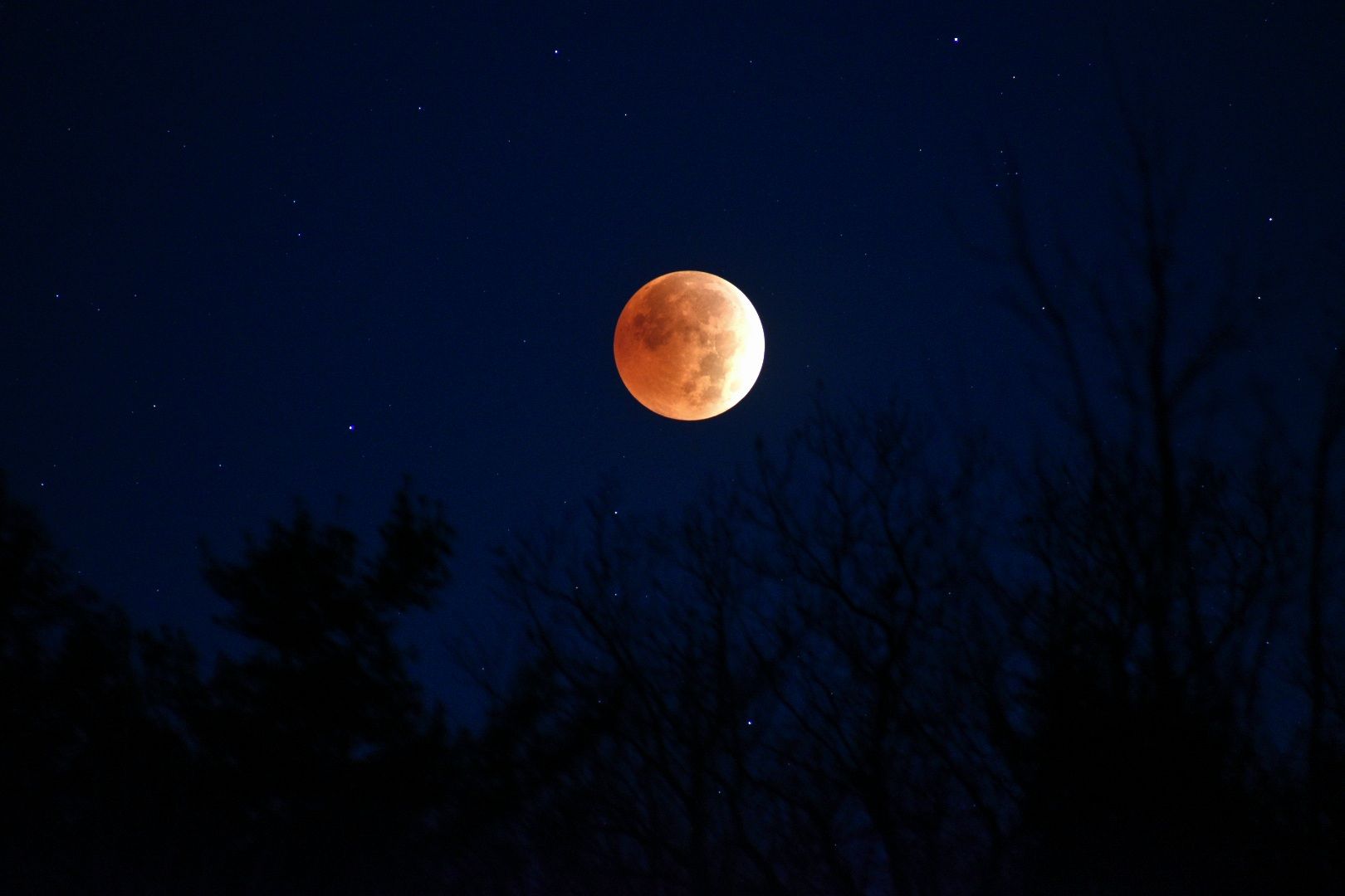 Community photo entitled  by Damon Matteson on 11/08/2022 at Sidney, NY.  USA