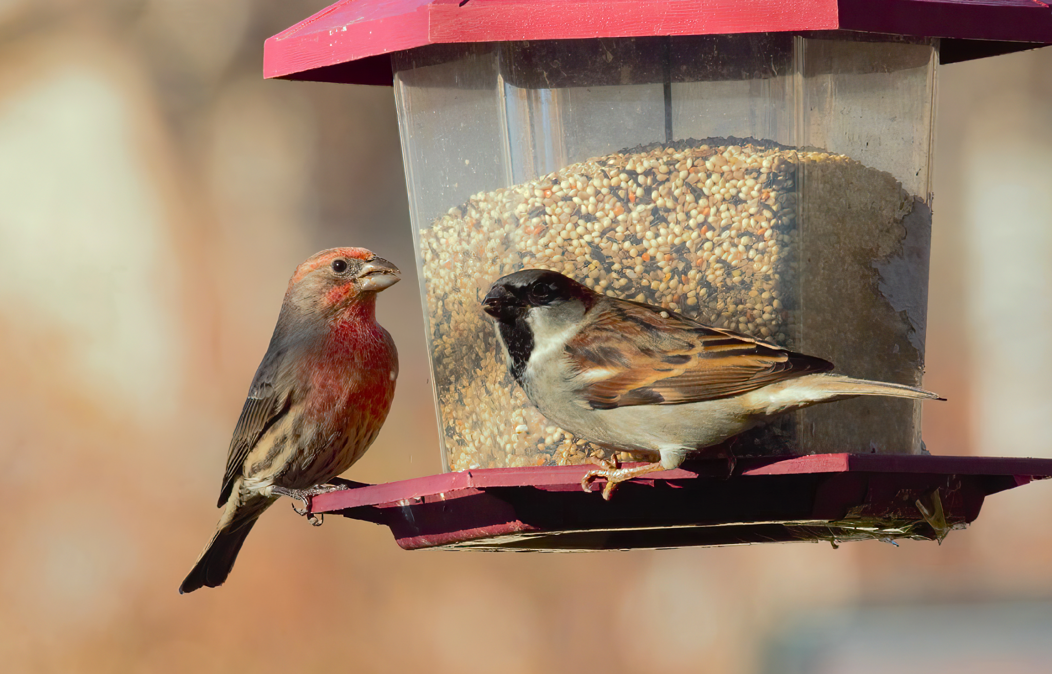 Community photo entitled  by Steve Price on 11/13/2022 at Draper, UT USA